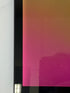 Apple iPad Pro 2nd Gen 256GB 12.9" Unlocked Silver A1670 *Slight Screen Bleed*