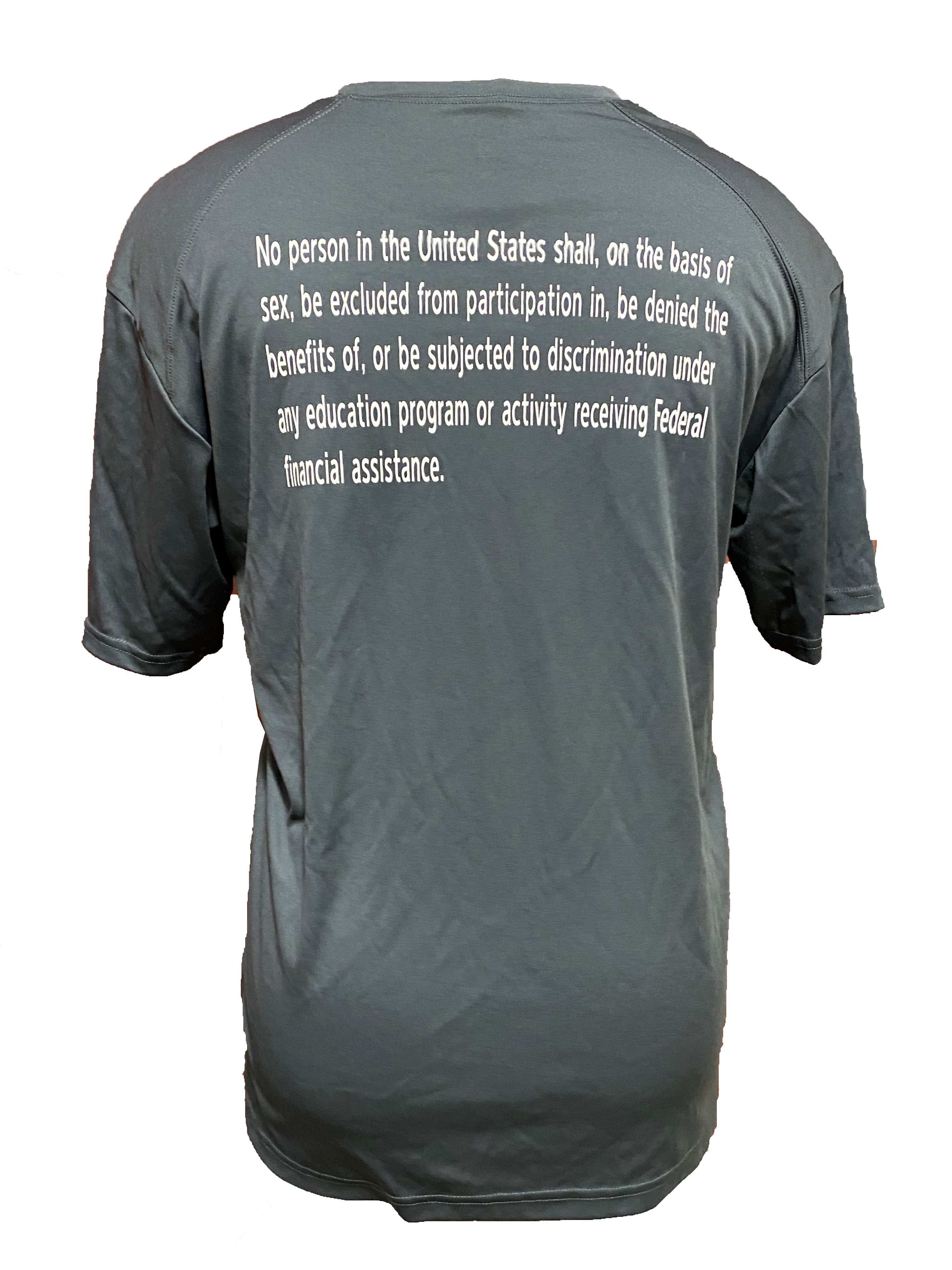 Badger Sports Gray Michigan State Title IX Quote Short Sleeve T-Shirt Men's Size L