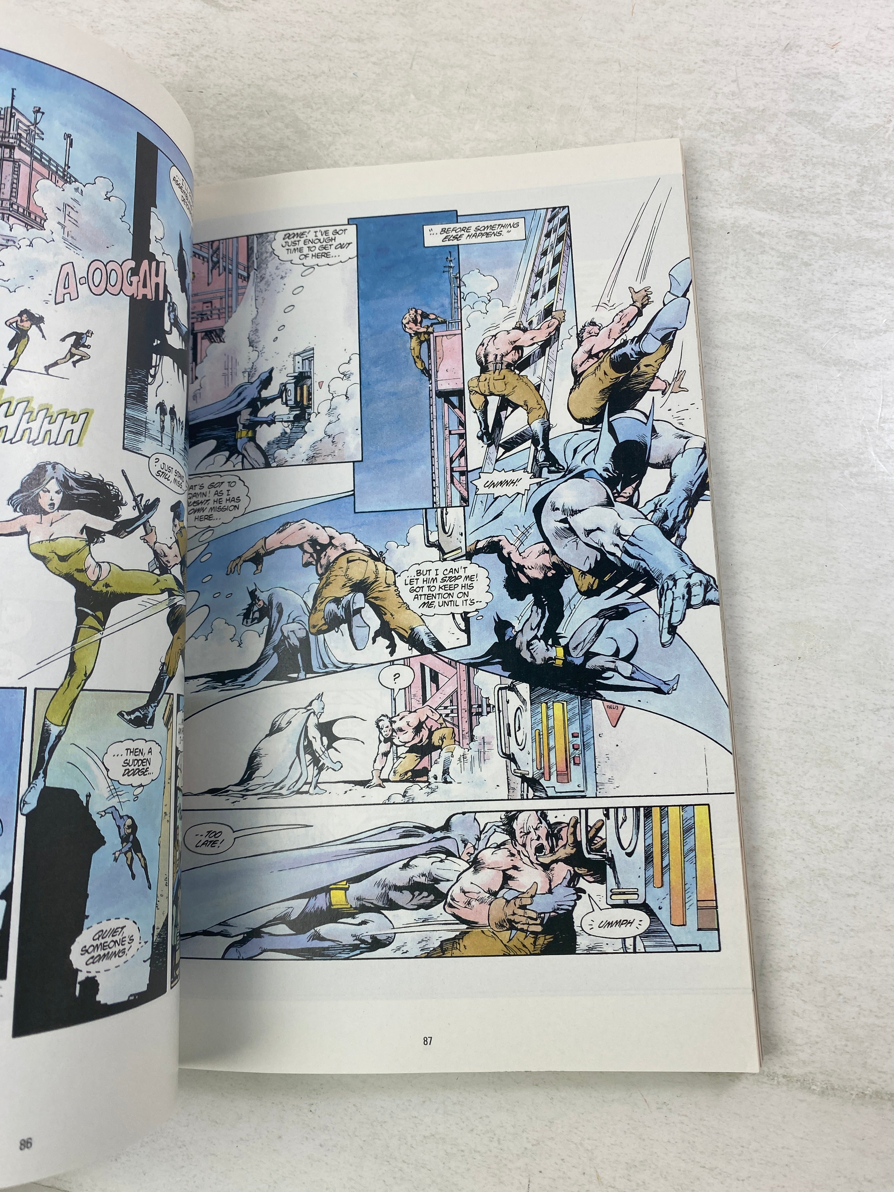 Batman Arkham Talia Al Ghul DC Graphic Novel Ex Lib 2021