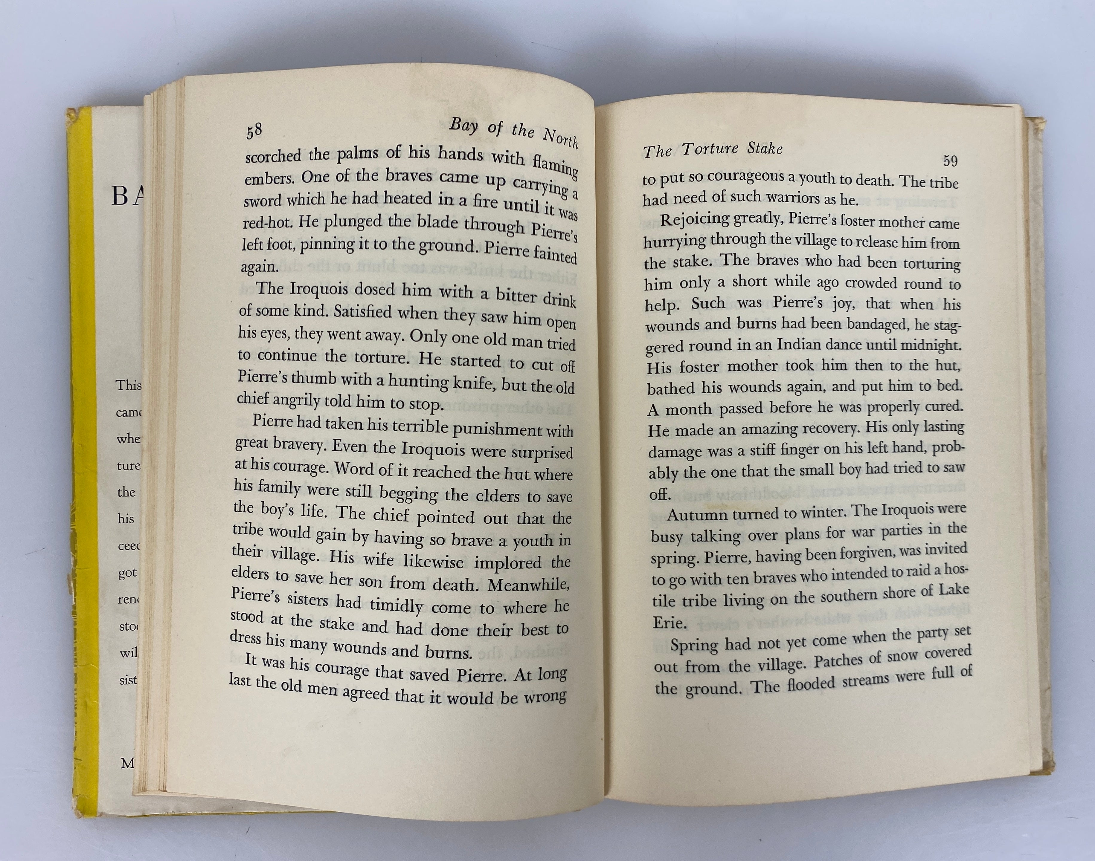 Bay of the North by Ronald Syme 1950 First Ed/First Print Vintage HC DJ