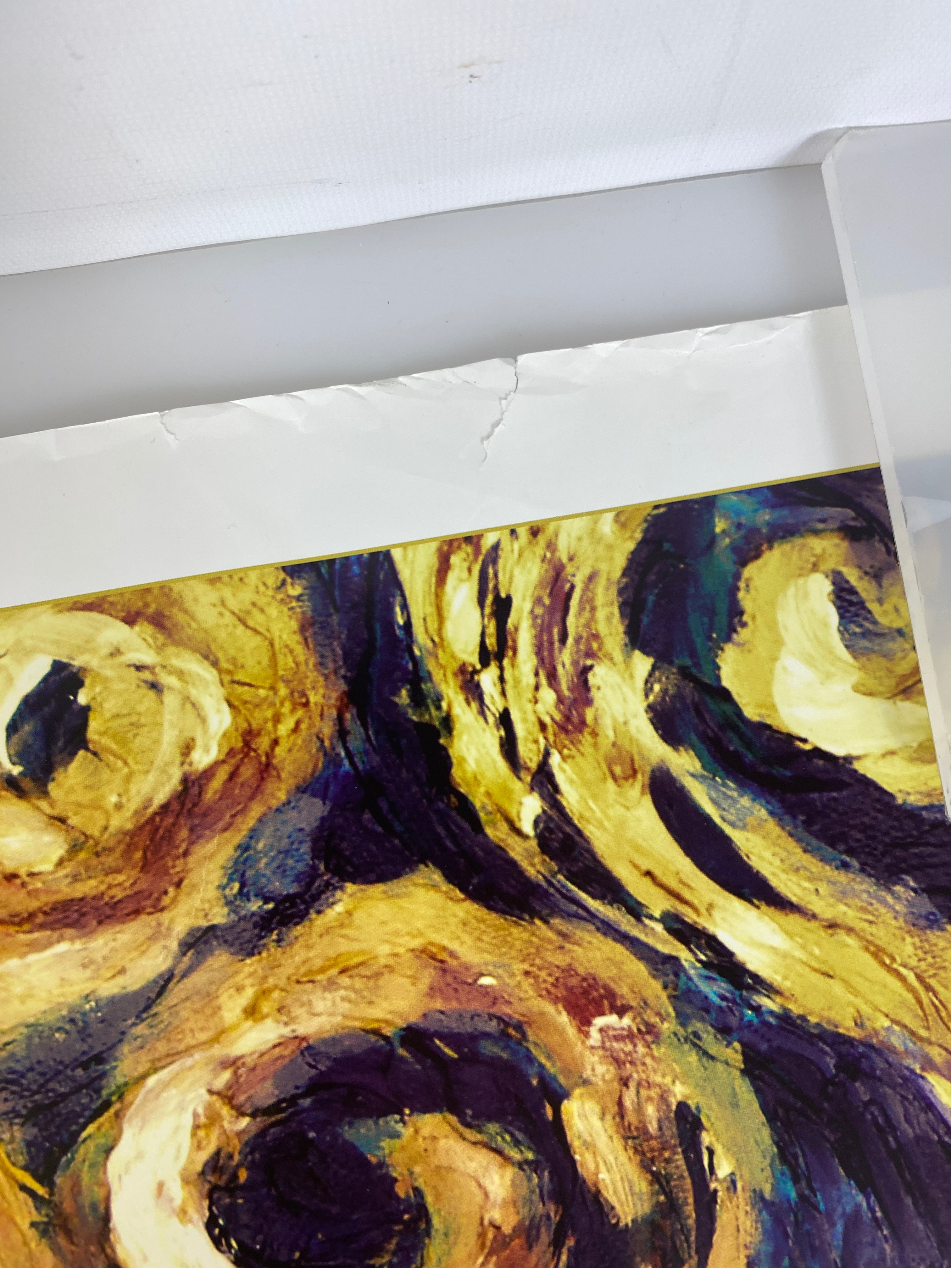 BBC Doctor Who Poster 2009