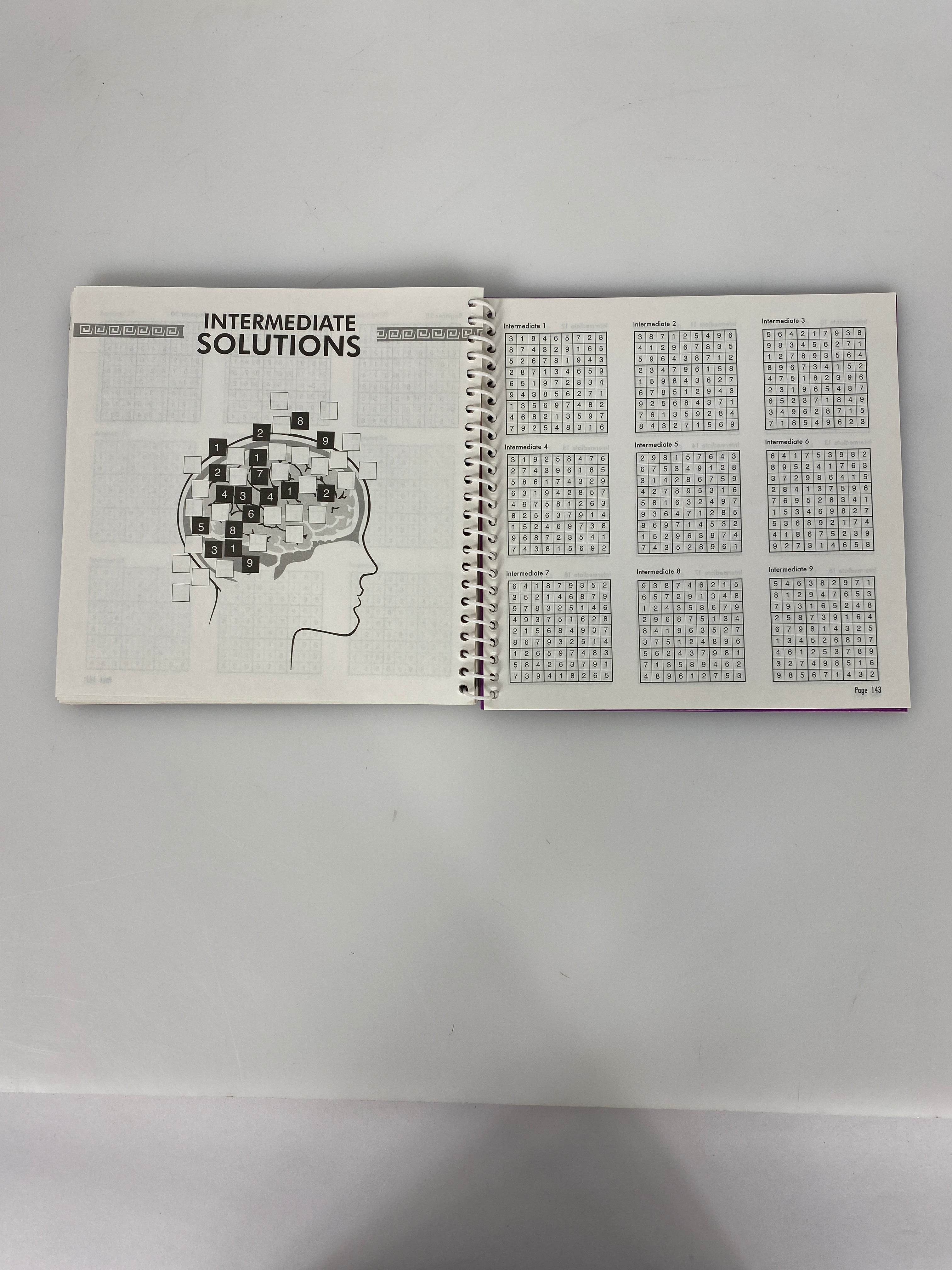 Berryland Books Spiral-Bound Sudoku Book #6
