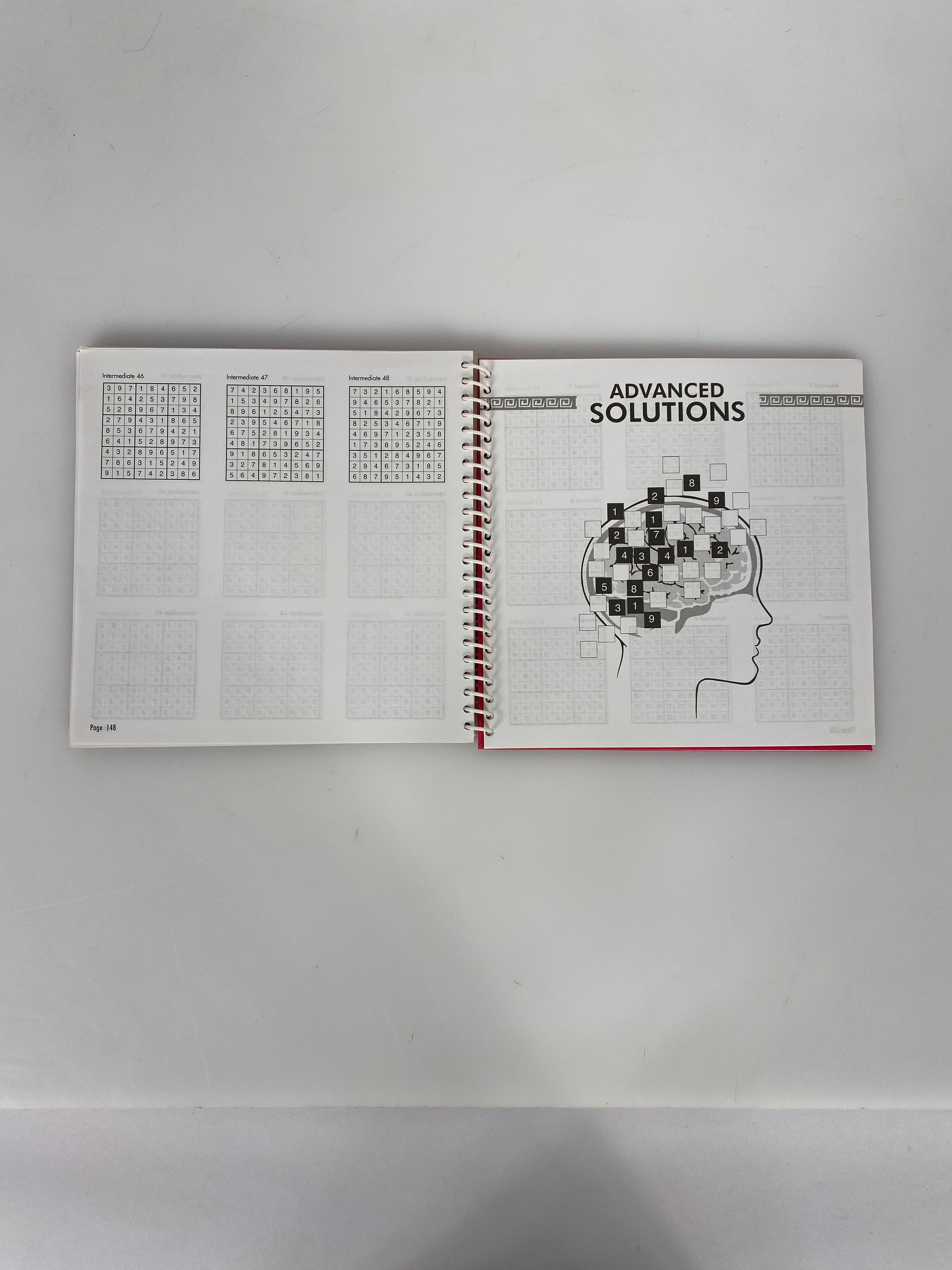 Berryland Books Spiral-Bound Sudoku Book #7