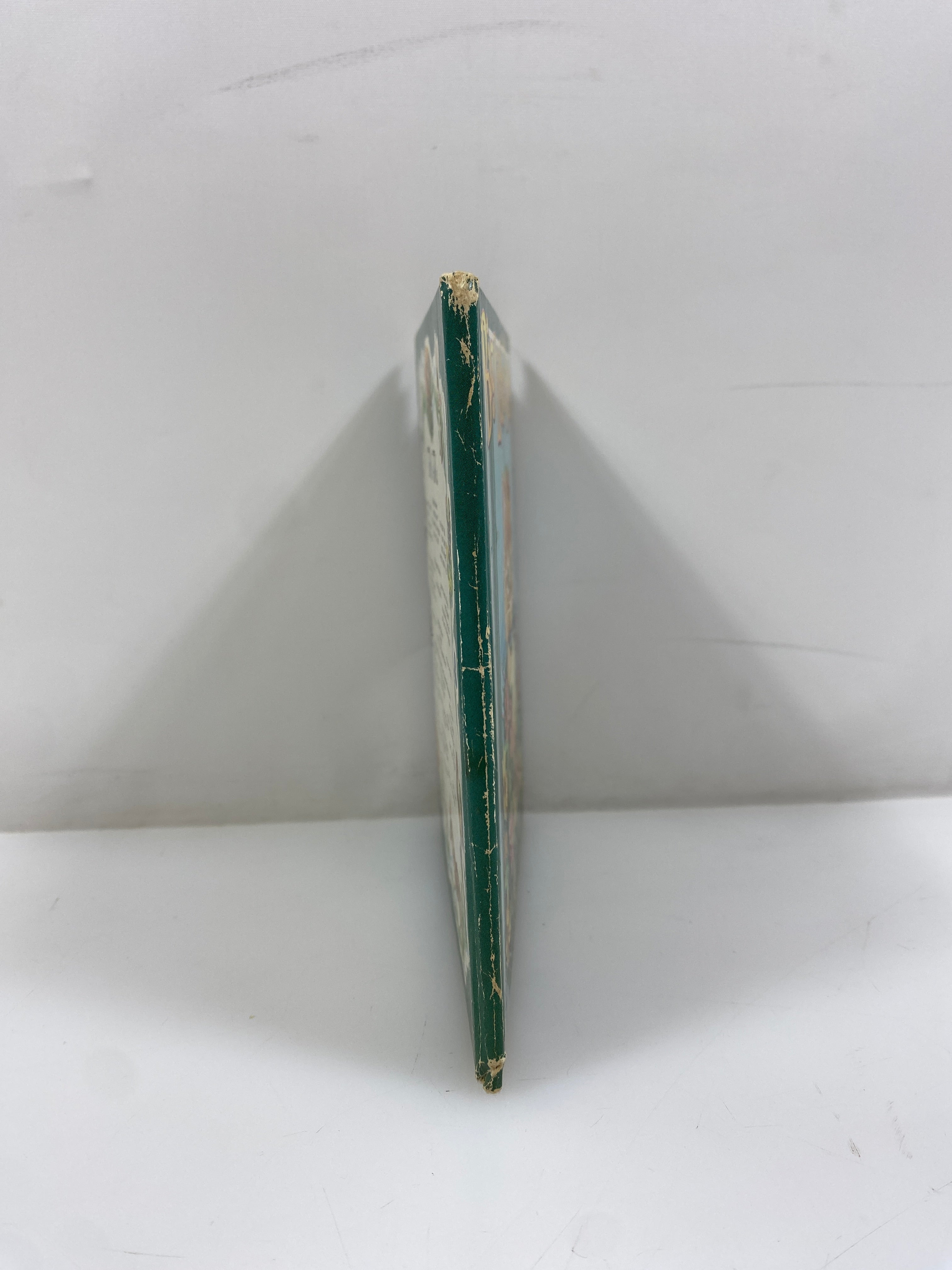 Big Little Kitty by Jan Biggers 1953 Vintage Whitman Publishing HC