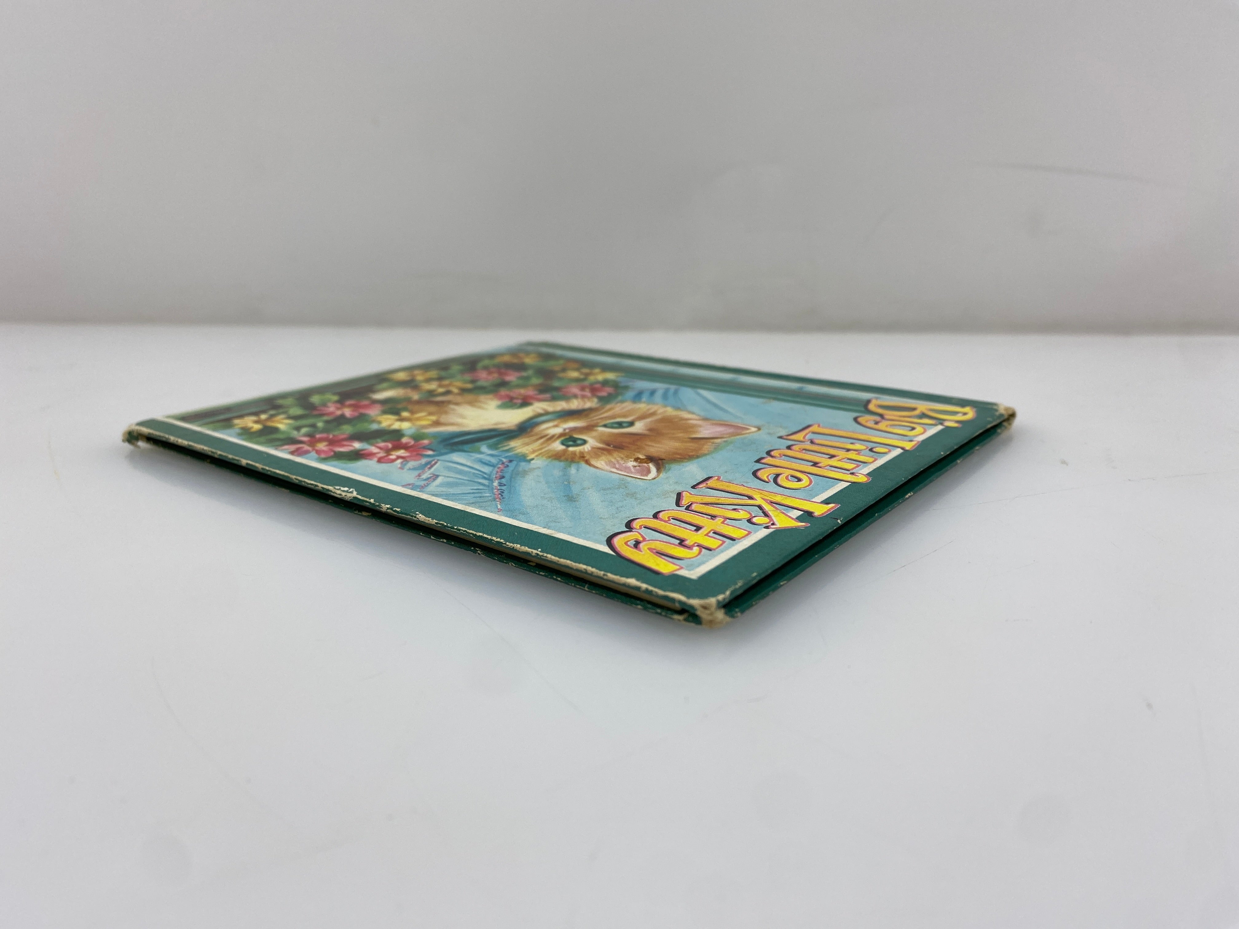 Big Little Kitty by Jan Biggers 1953 Vintage Whitman Publishing HC