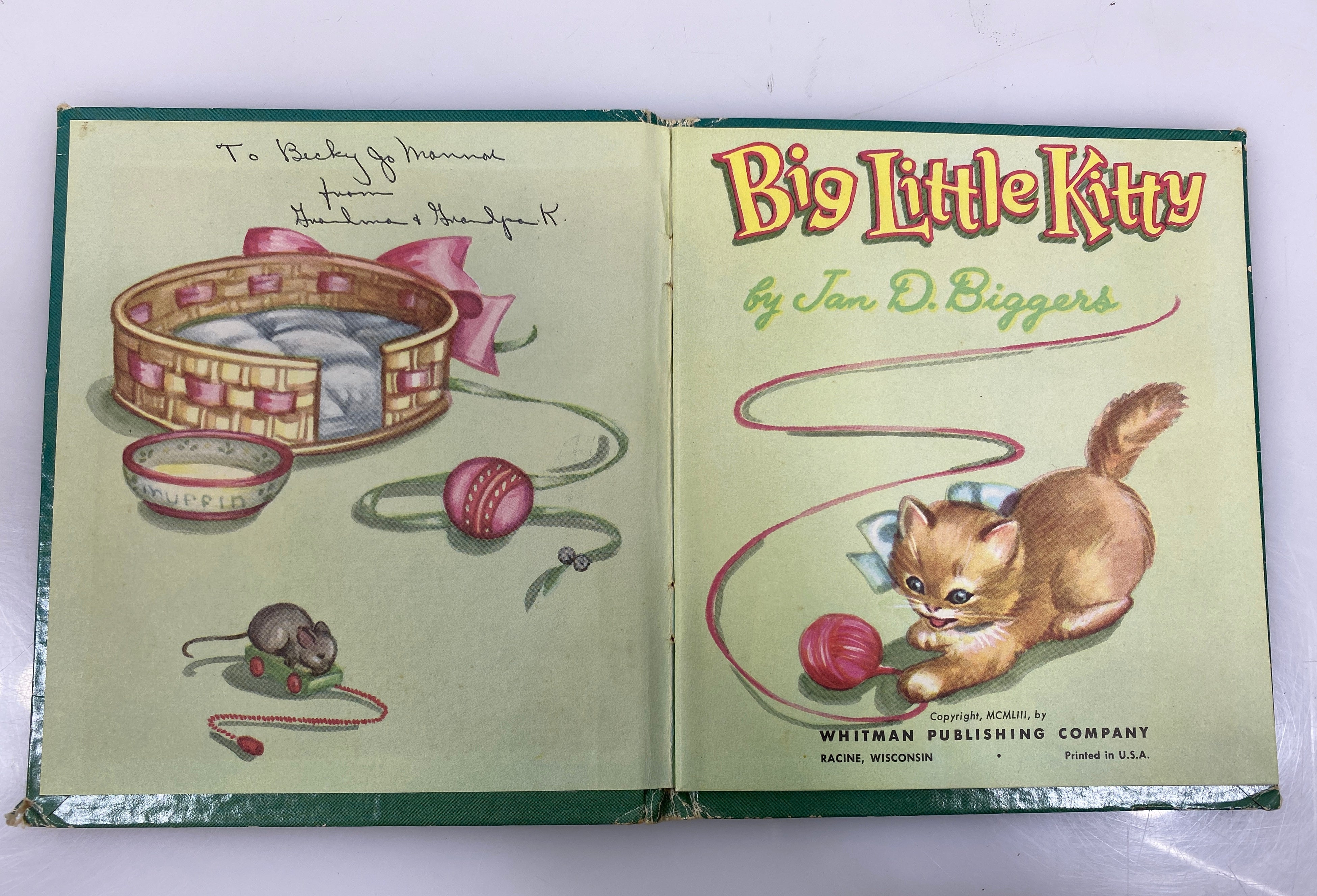 Big Little Kitty by Jan Biggers 1953 Vintage Whitman Publishing HC