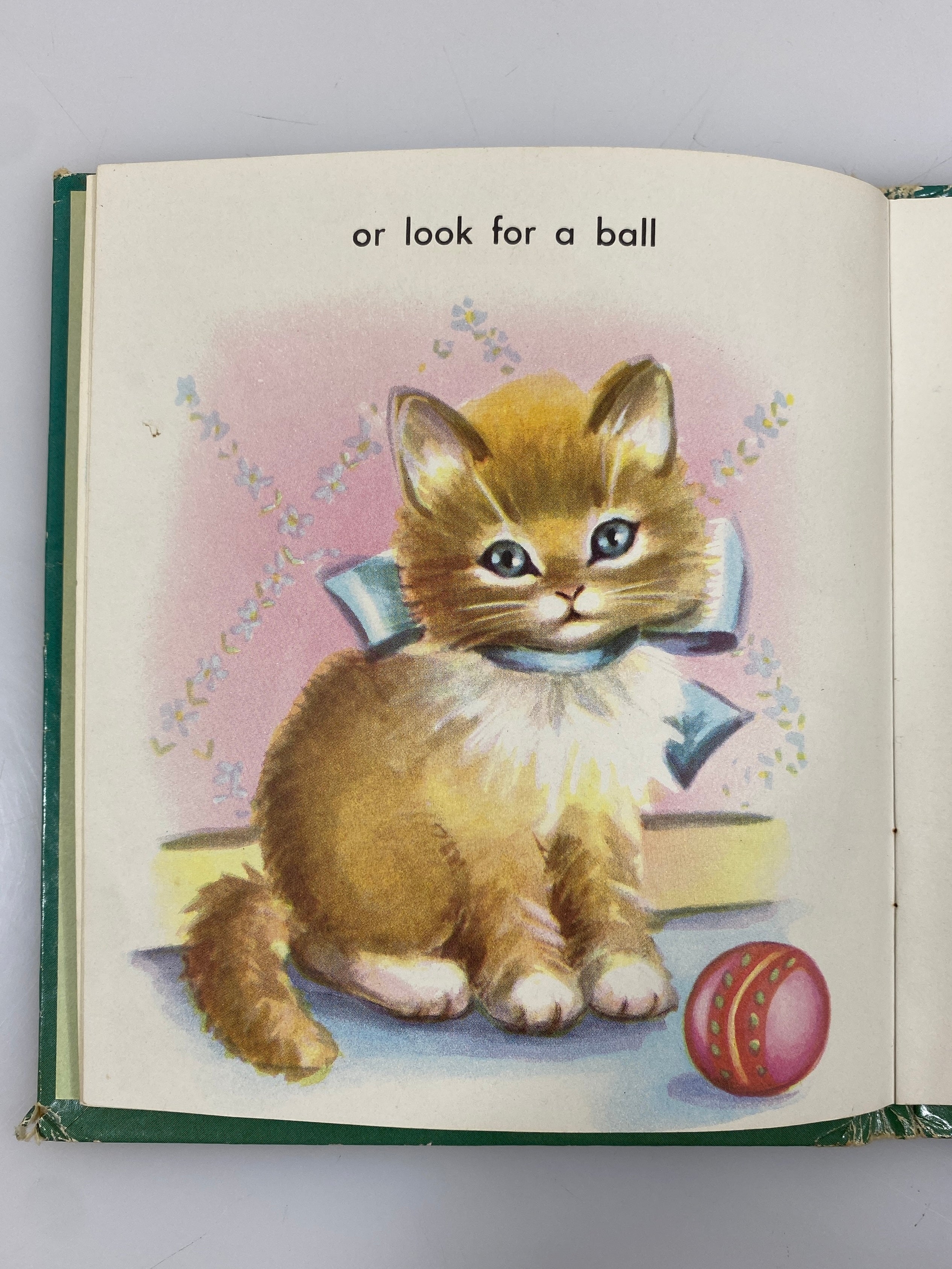 Big Little Kitty by Jan Biggers 1953 Vintage Whitman Publishing HC