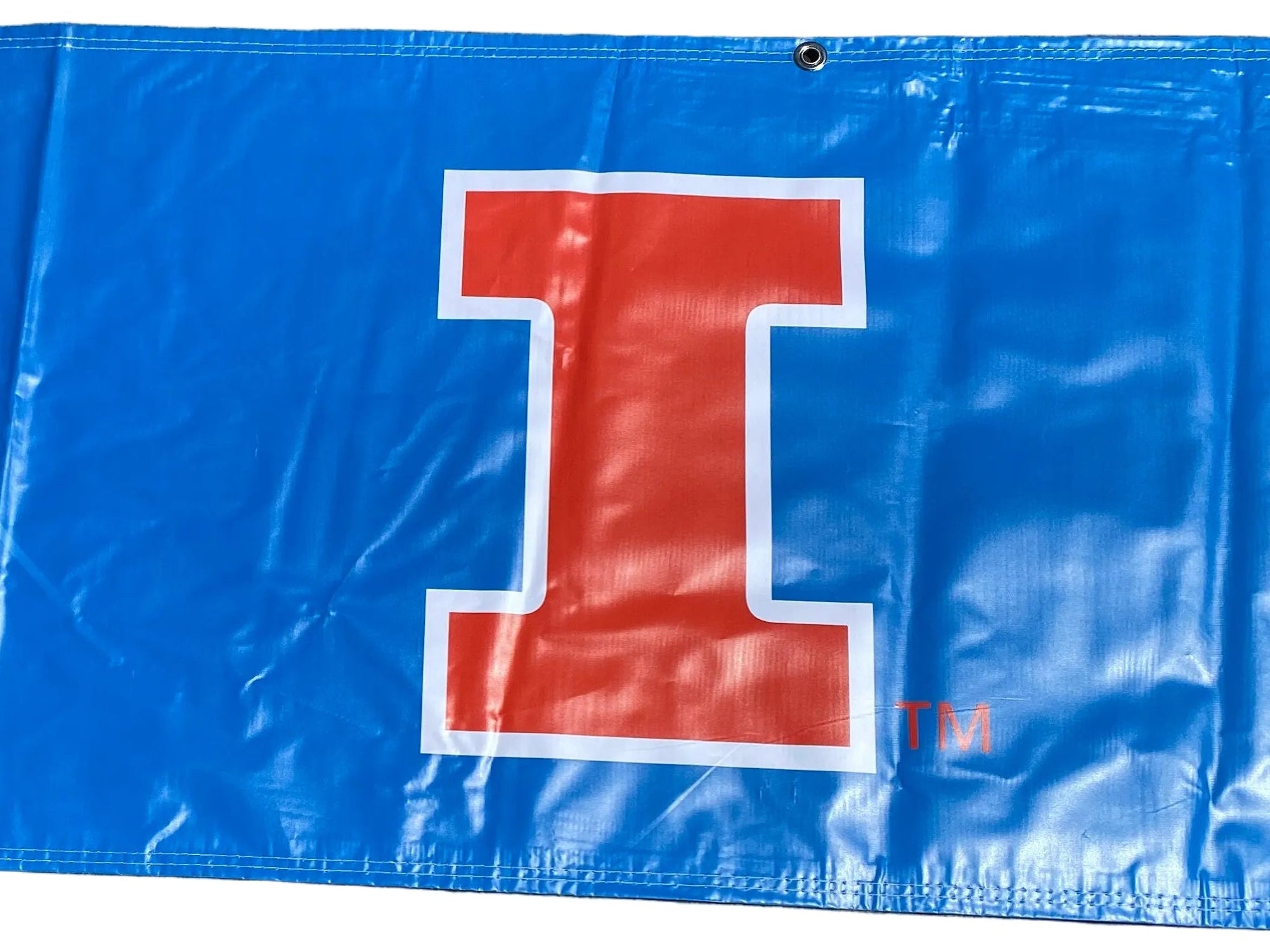 'Big Ten Women's Gymnastics Championships' 2024 Banner