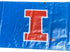 'Big Ten Women's Gymnastics Championships' 2024 Banner