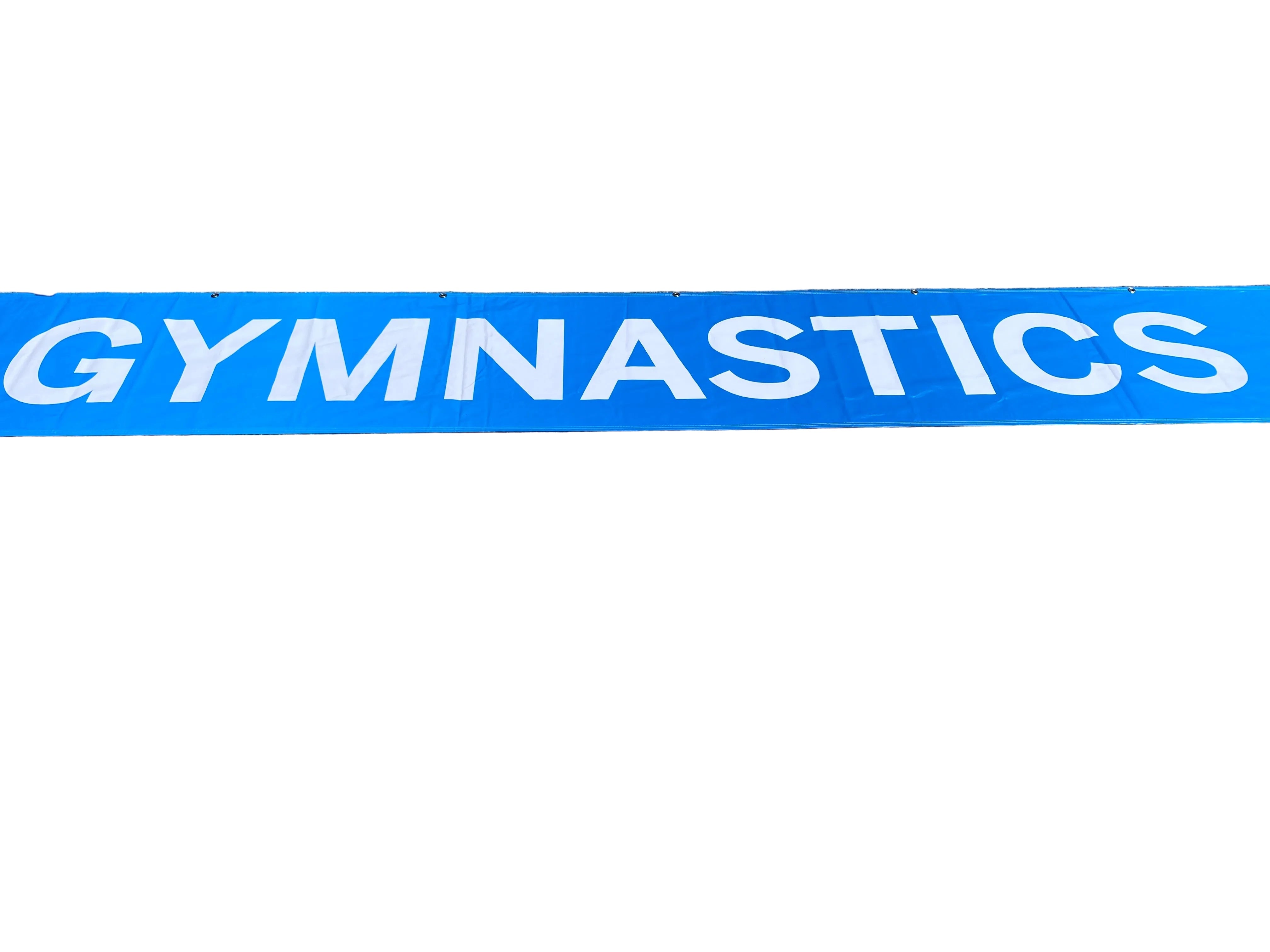 'Big Ten Women's Gymnastics Championships' 2024 Banner