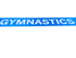 'Big Ten Women's Gymnastics Championships' 2024 Banner