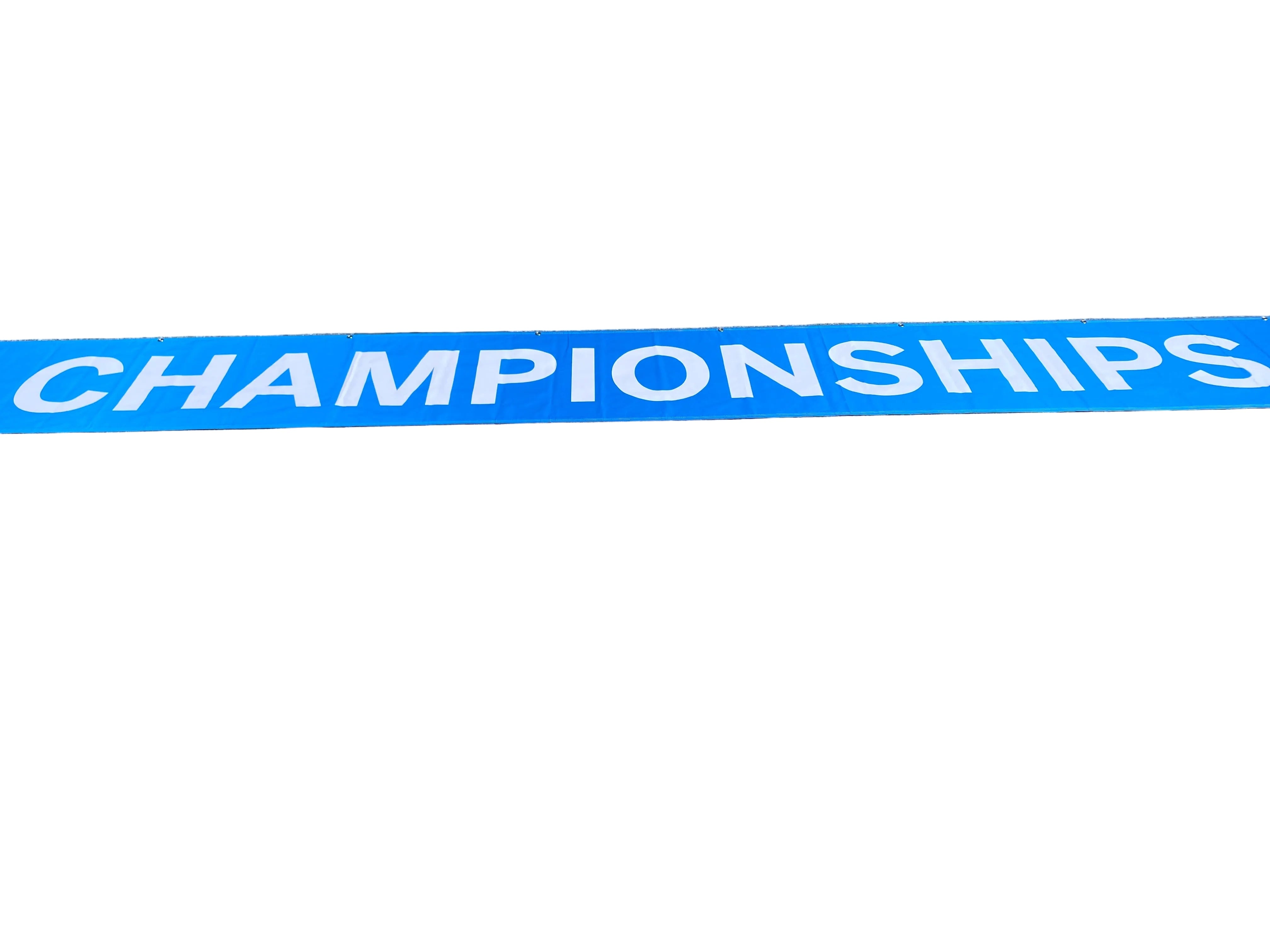'Big Ten Women's Gymnastics Championships' 2024 Banner