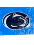 'Big Ten Women's Gymnastics Championships' 2024 Banner