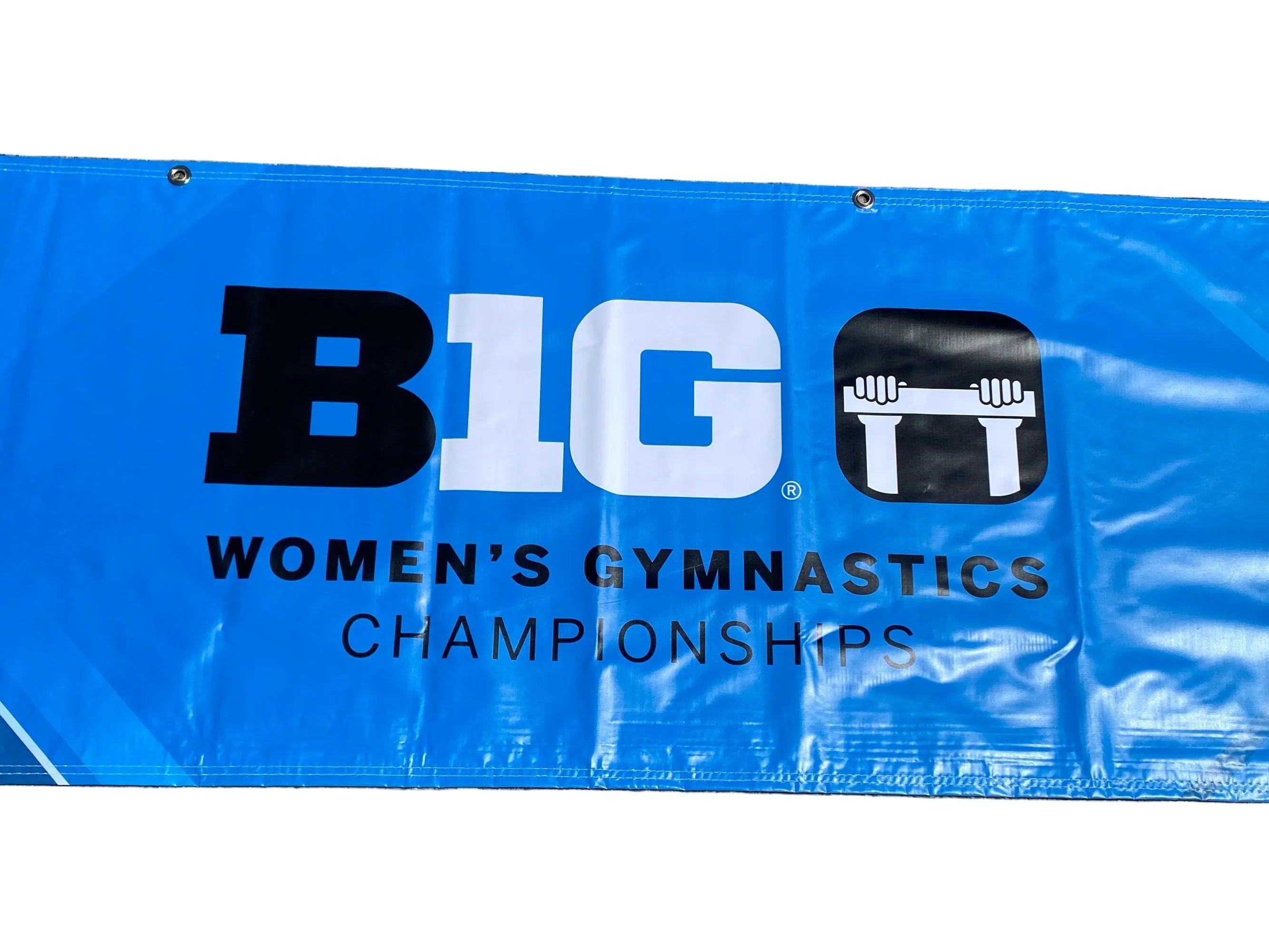 'Big Ten Women's Gymnastics Championships' 2024 Banner