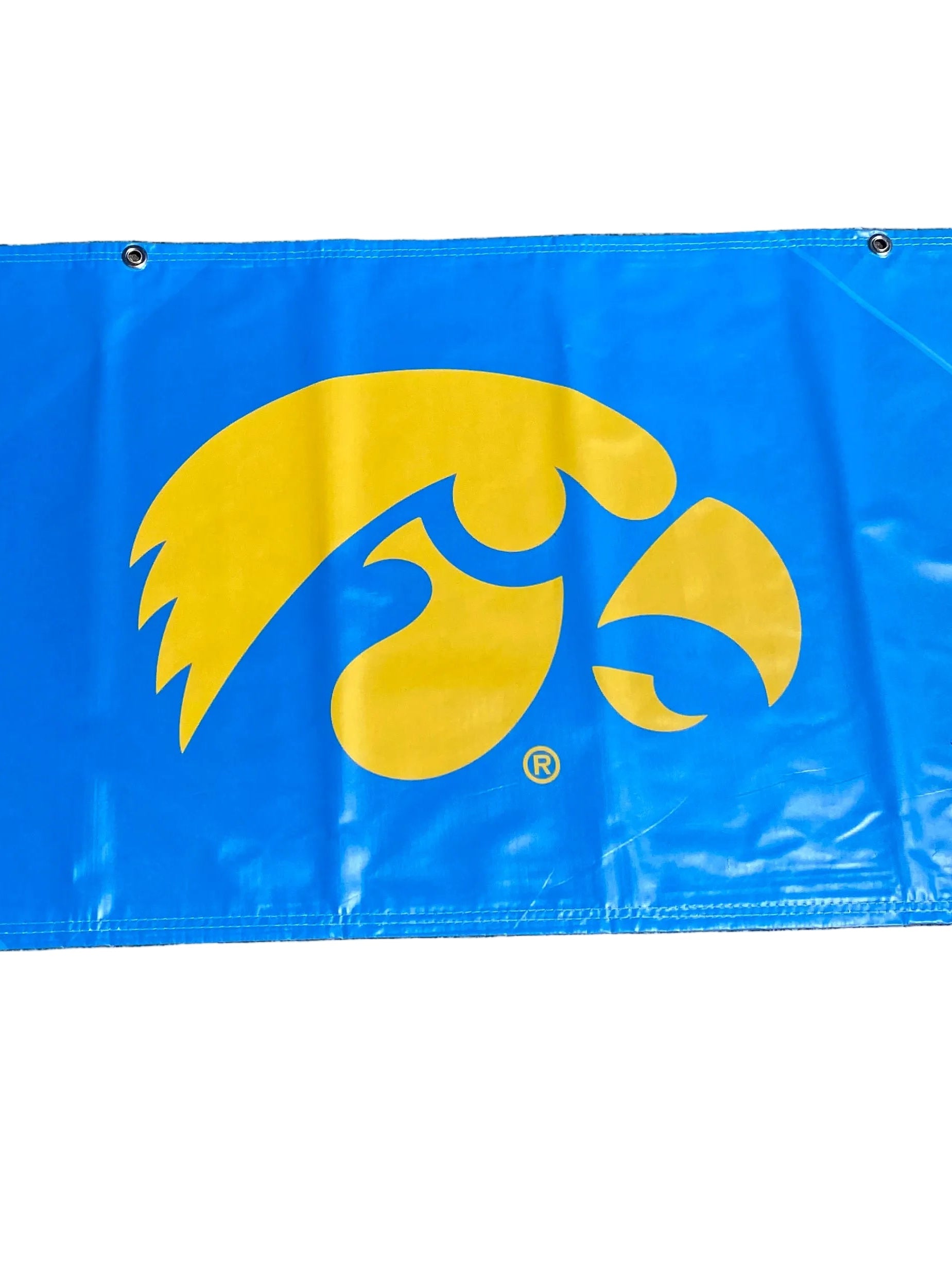 'Big Ten Women's' Women's Big Ten Gymnastics Championships 2024 Banner