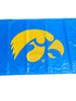 'Big Ten Women's' Women's Big Ten Gymnastics Championships 2024 Banner