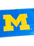 'Big Ten Women's' Women's Big Ten Gymnastics Championships 2024 Banner