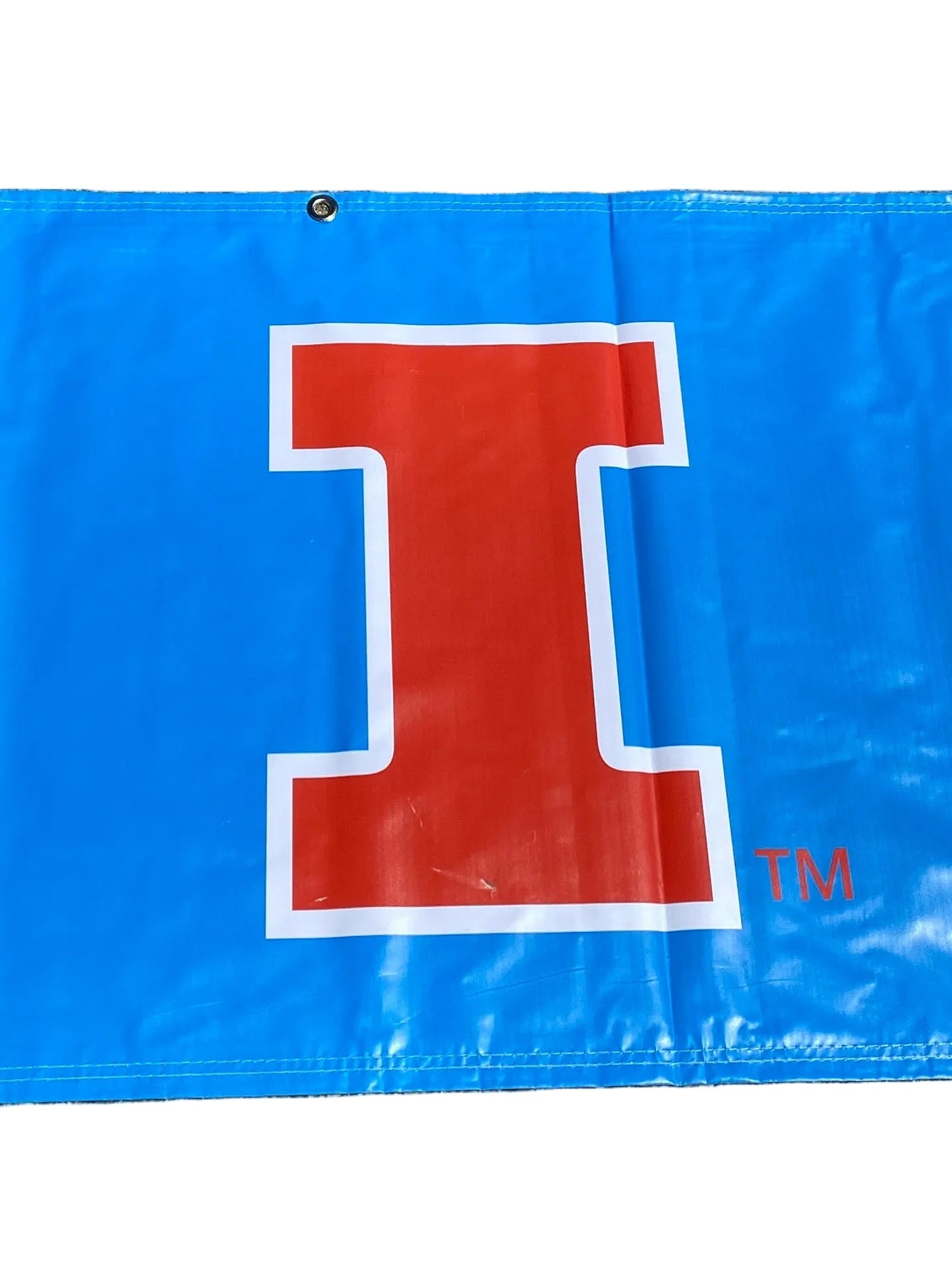 'Big Ten Women's' Women's Big Ten Gymnastics Championships 2024 Banner
