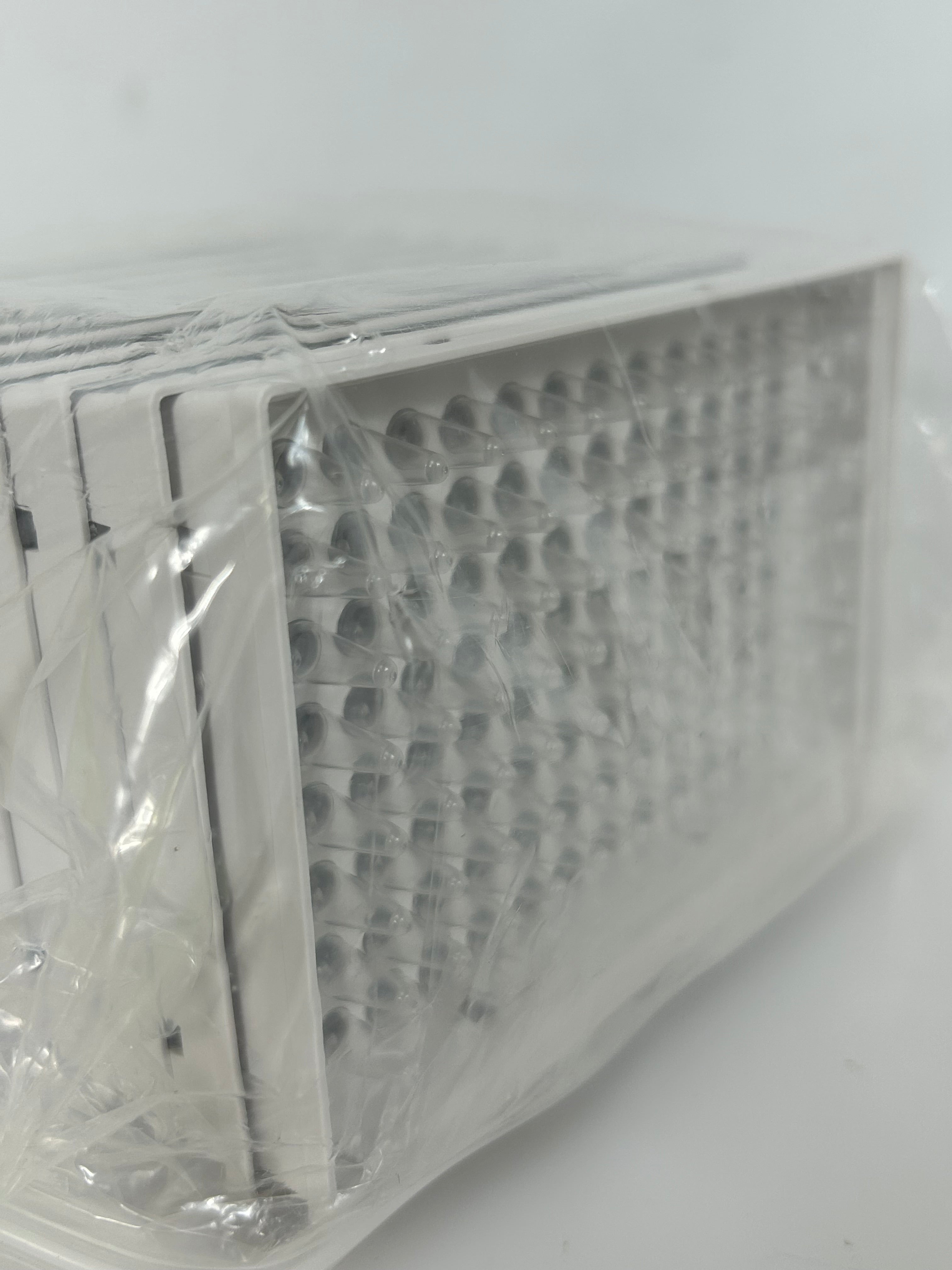 Bio-Rad Hard-Shell 96 Well PCR Plates Pack of 50 Plates