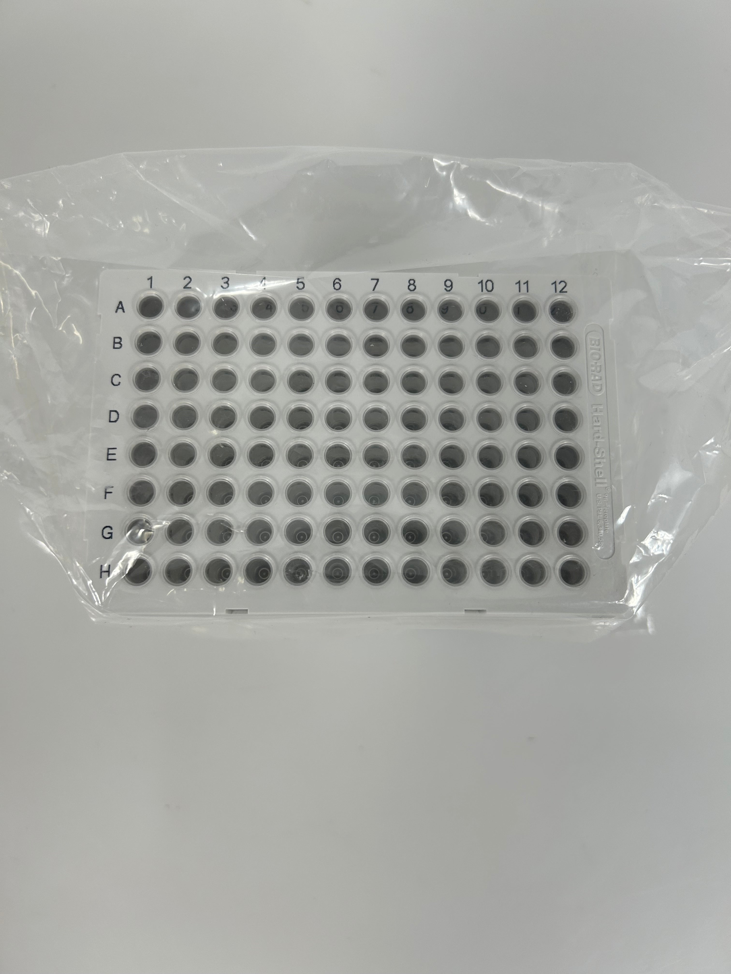 Bio-Rad Hard-Shell 96 Well PCR Plates Pack of 50 Plates