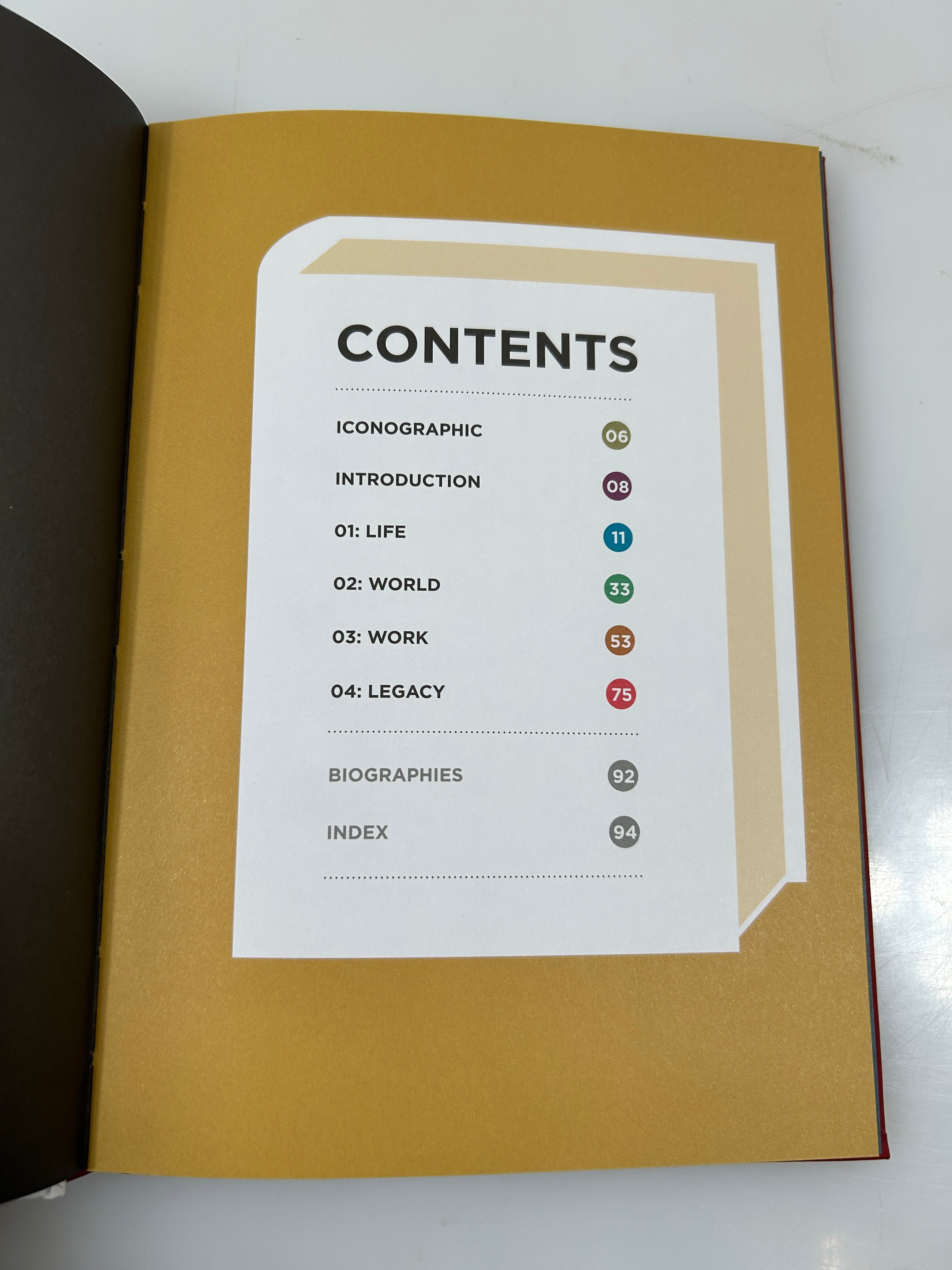 Biographic: Dickens by Michael Robb HC