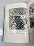 Biology of Amphibian Tumors Mizell Ex-library 1969 HC