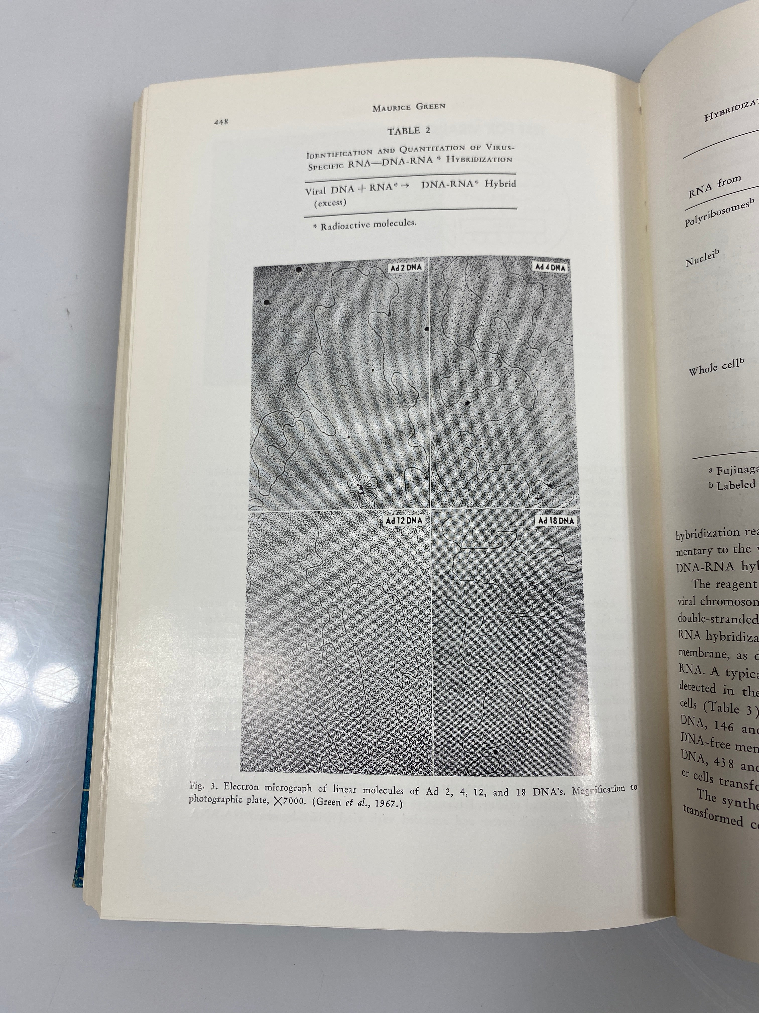 Biology of Amphibian Tumors Mizell Ex-library 1969 HC