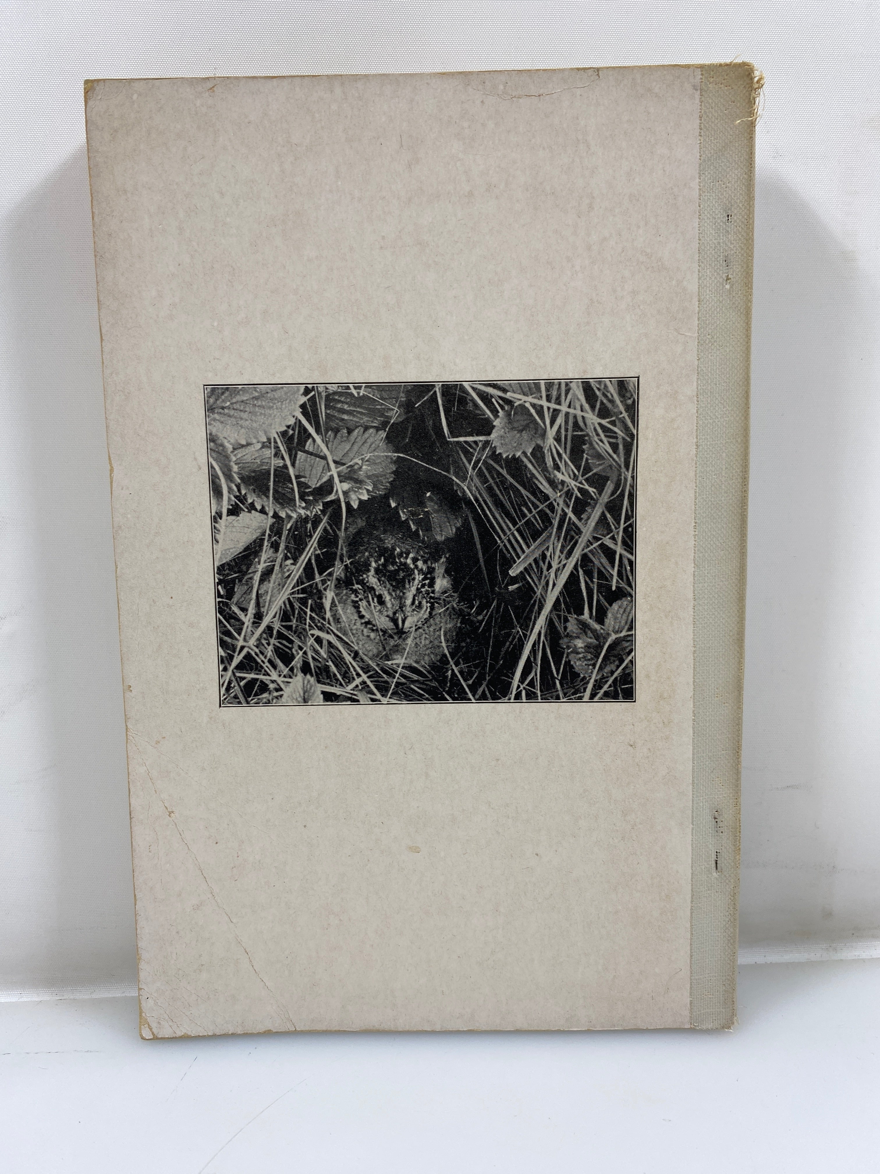 Birds in Kansas by Goodrich 1946 SC