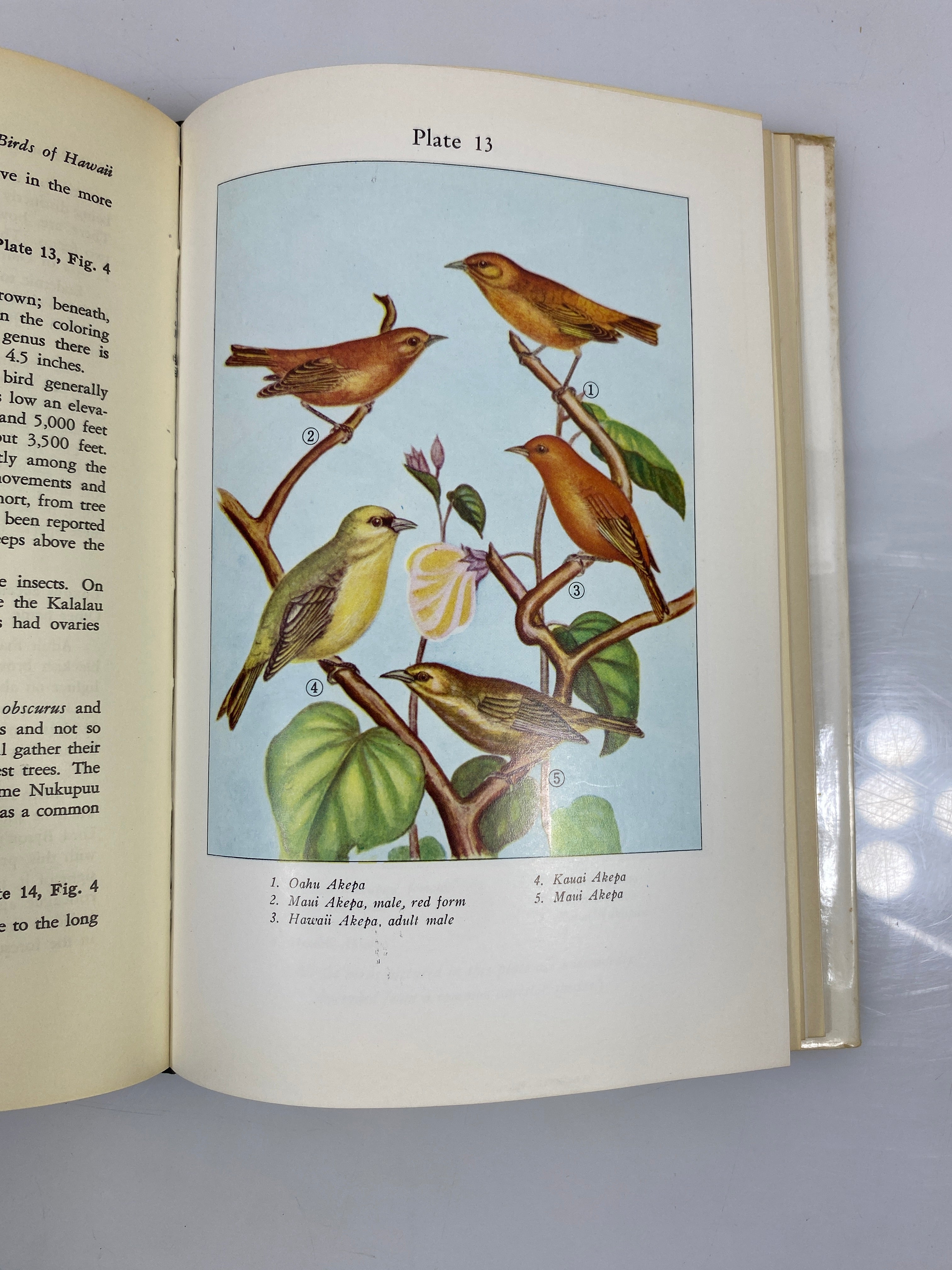 Birds of Hawaii by Munro 1960 HCDJ w/ Nat Geo Hawaii Map (1976)