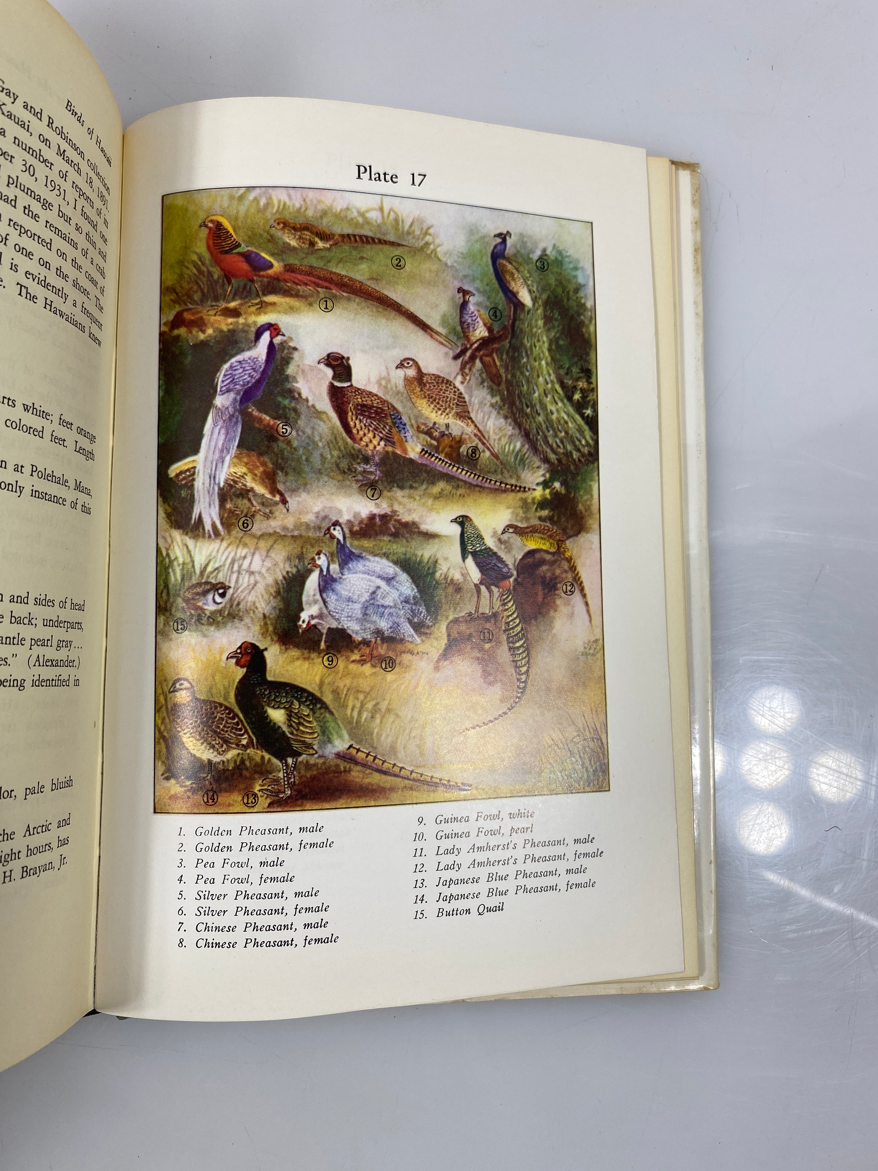 Birds of Hawaii by Munro 1960 HCDJ w/ Nat Geo Hawaii Map (1976)