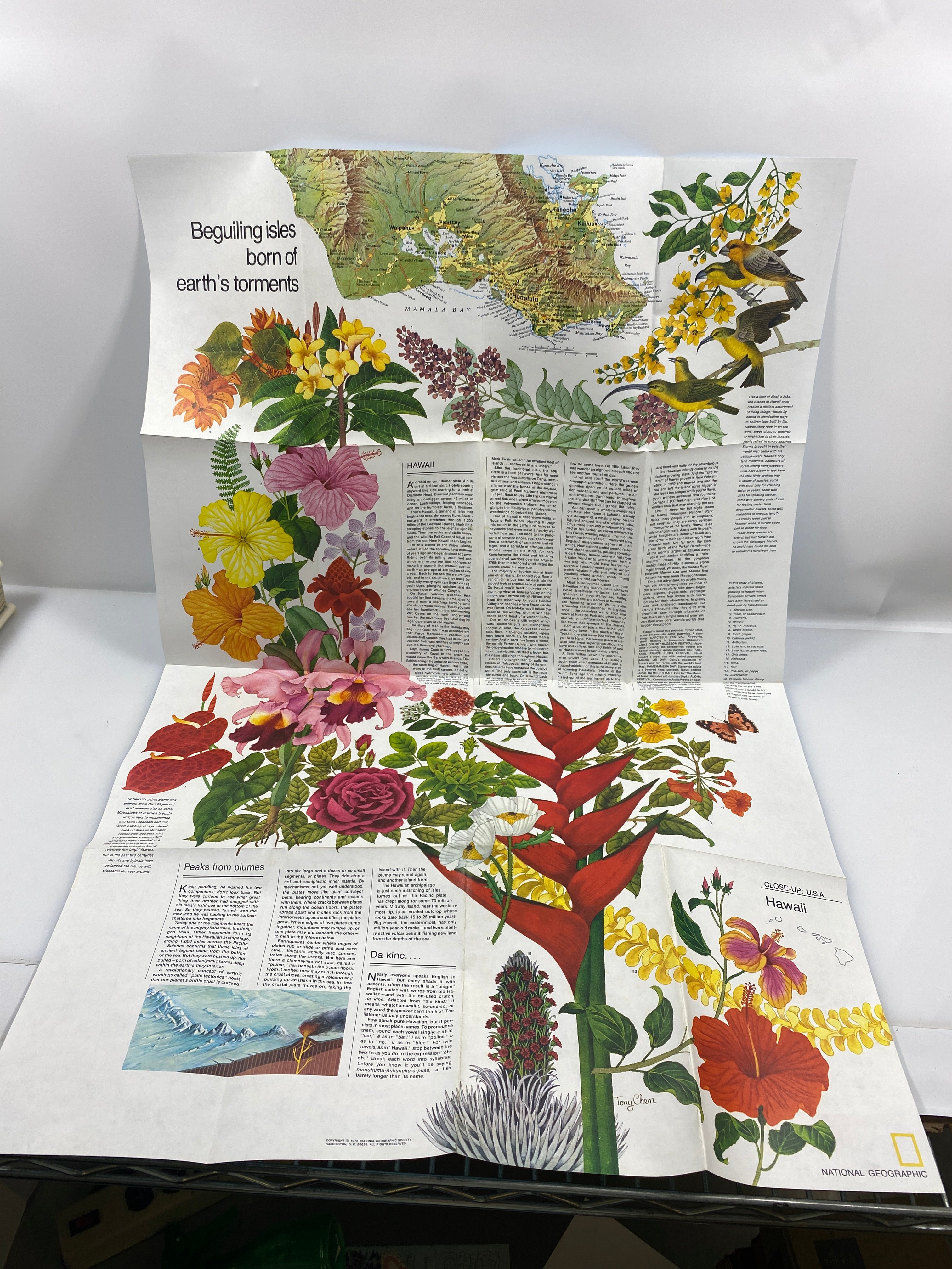 Birds of Hawaii by Munro 1960 HCDJ w/ Nat Geo Hawaii Map (1976)