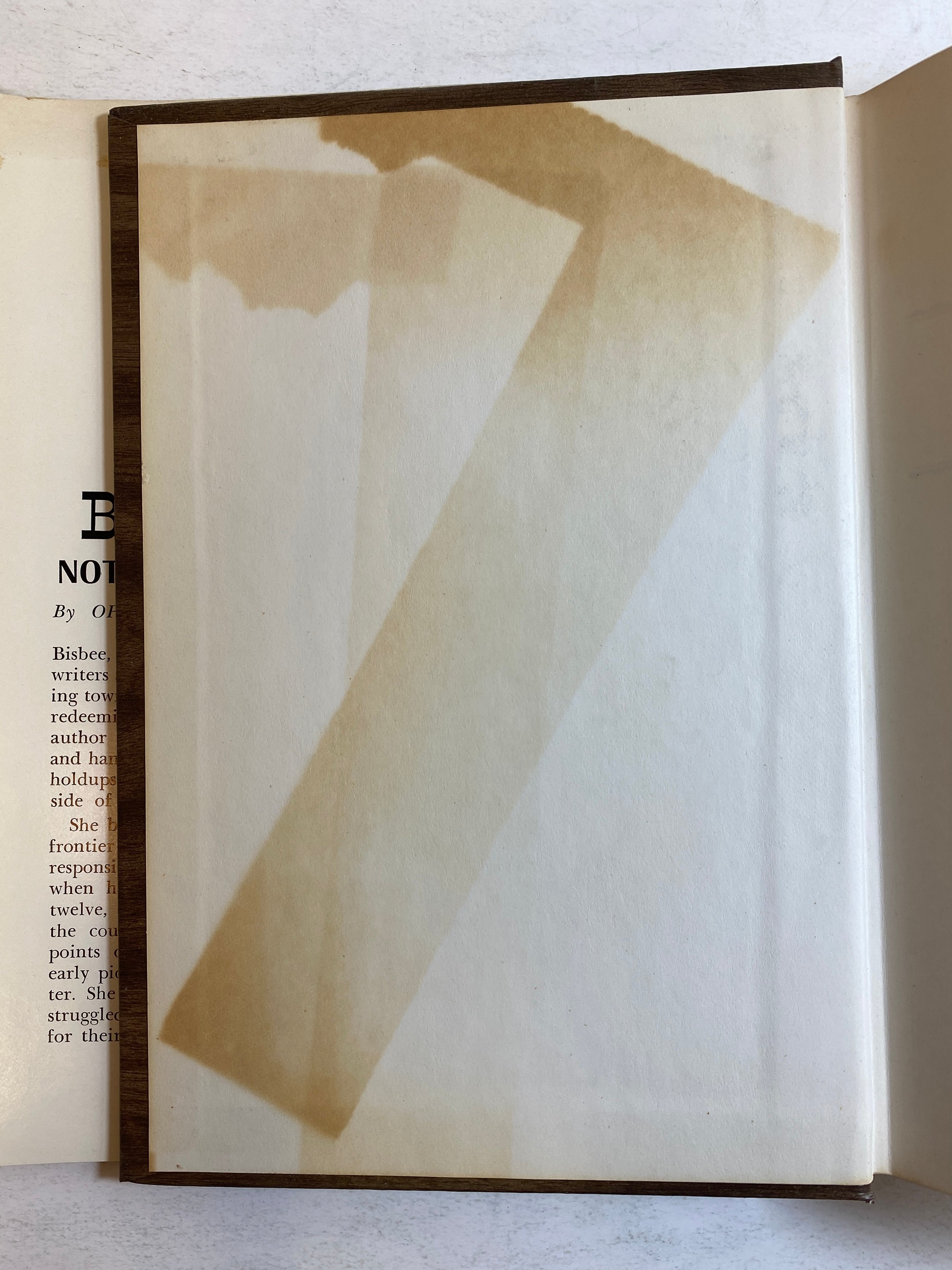 Bisbee Not So Long Ago by Burgess 1976 Facsimile Edition HC DJ