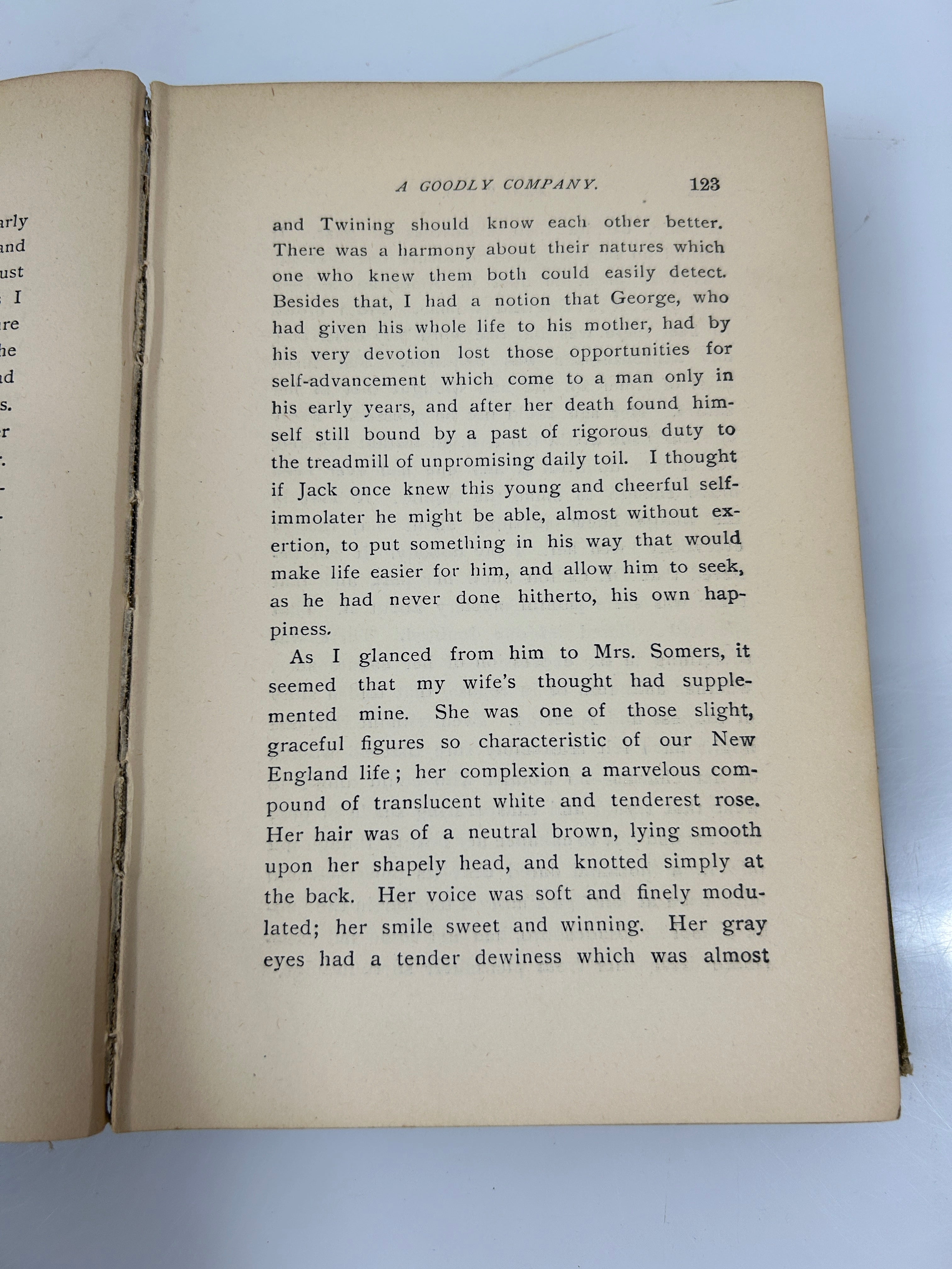 Black Ice by Albion Tourgee 1888 Antique HC