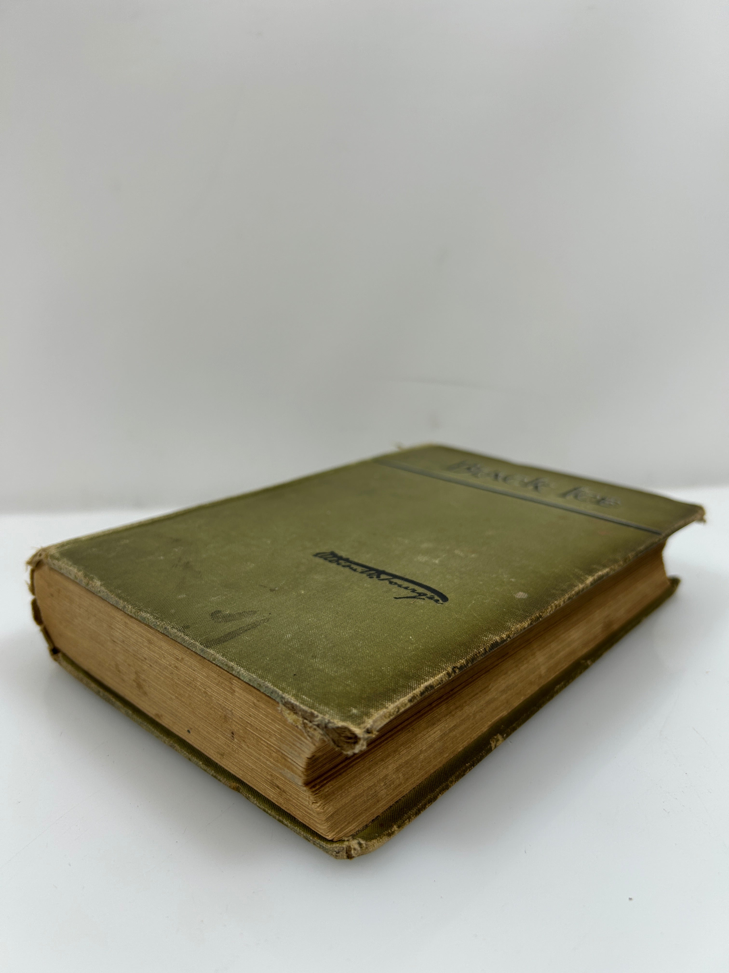 Black Ice by Albion Tourgee 1888 Antique HC