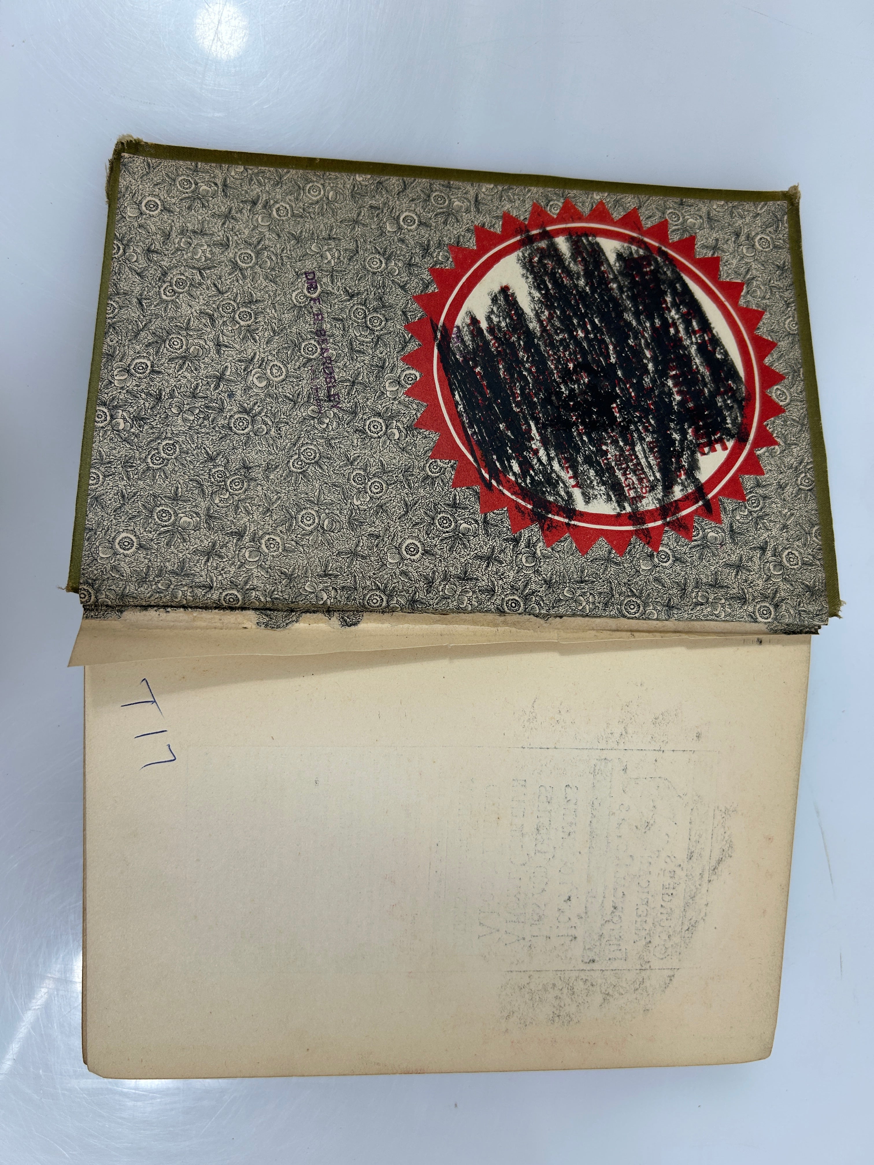 Black Ice by Albion Tourgee 1888 Antique HC