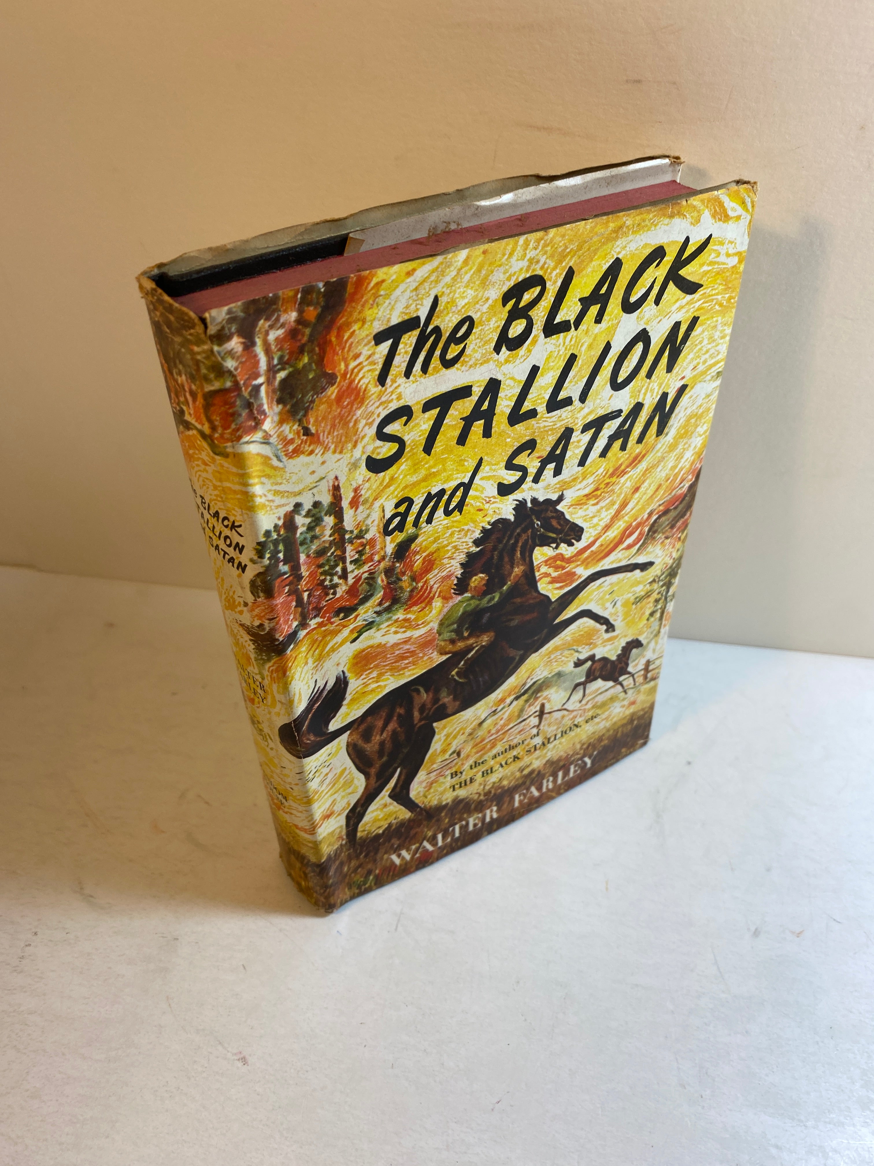 Black Stallion and Satan Walter Farley HCDJ 1949