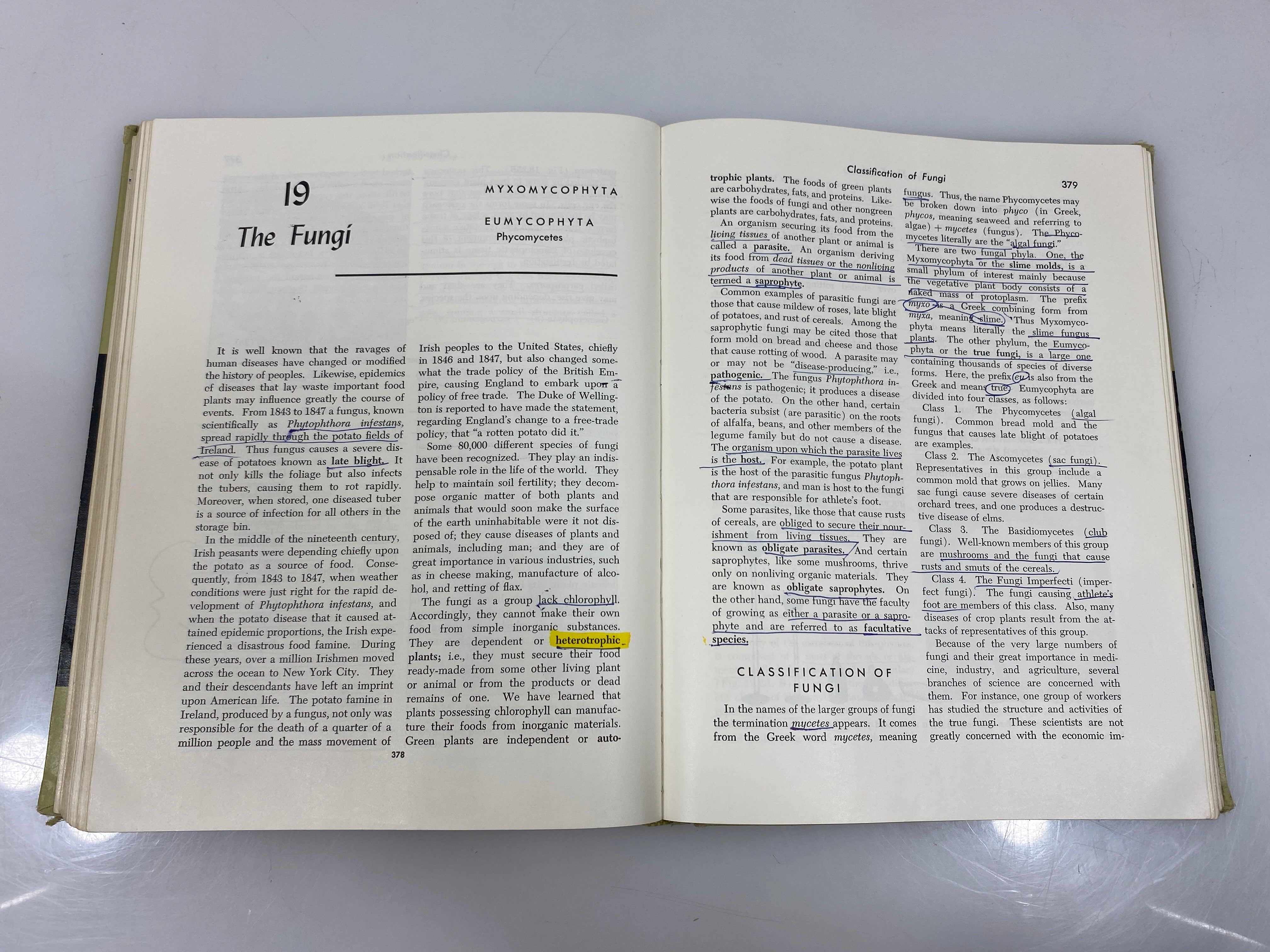 Botany Introduction to Plant Science 2nd Ed. Robbins/Weier/Stocking 1959 HC