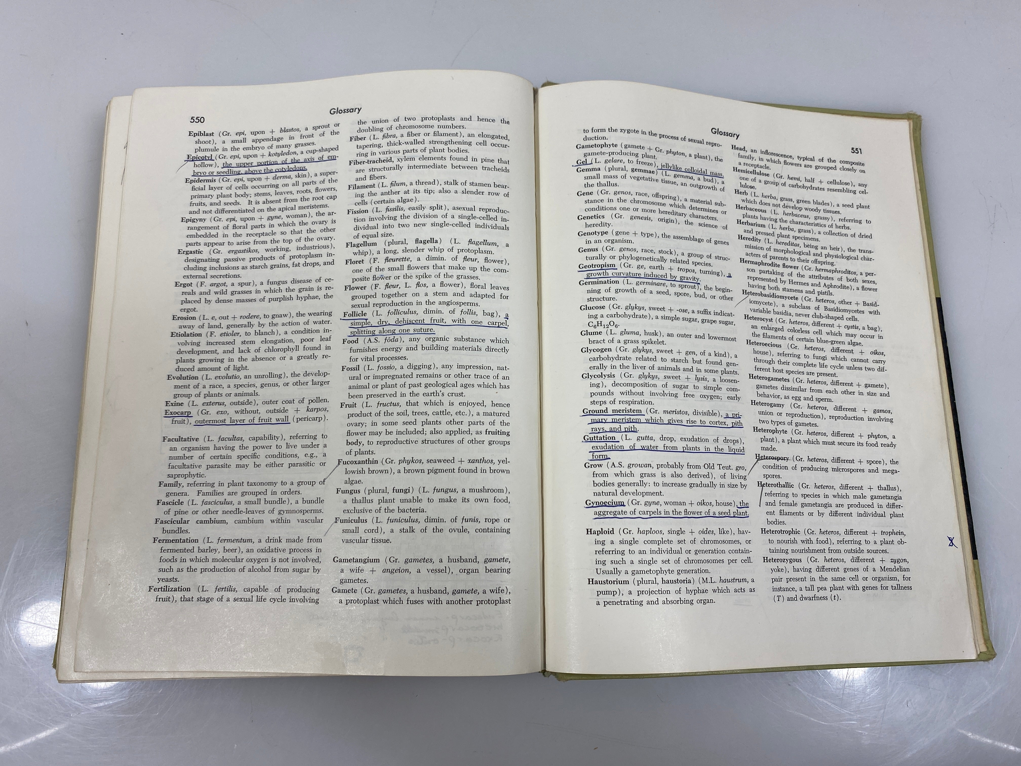Botany Introduction to Plant Science 2nd Ed. Robbins/Weier/Stocking 1959 HC