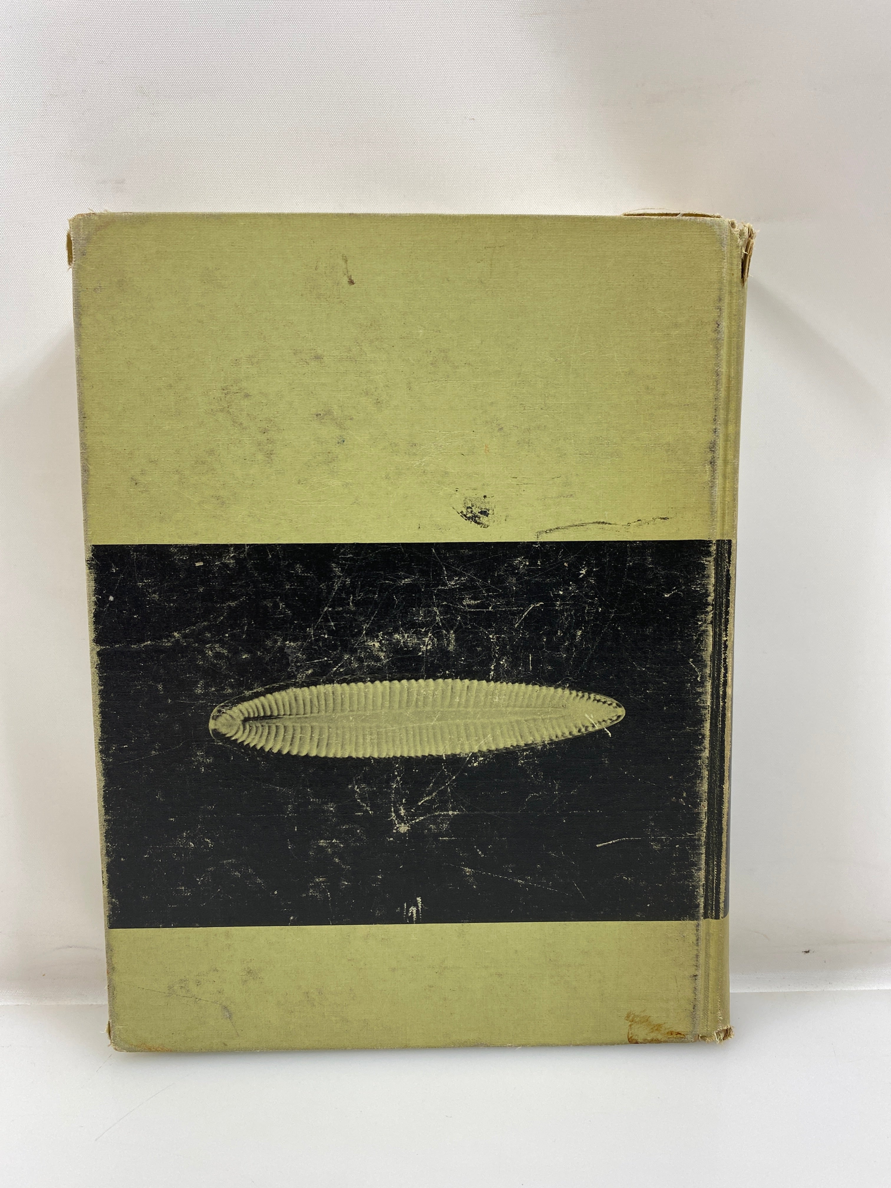 Botany Introduction to Plant Science 2nd Ed. Robbins/Weier/Stocking 1959 HC