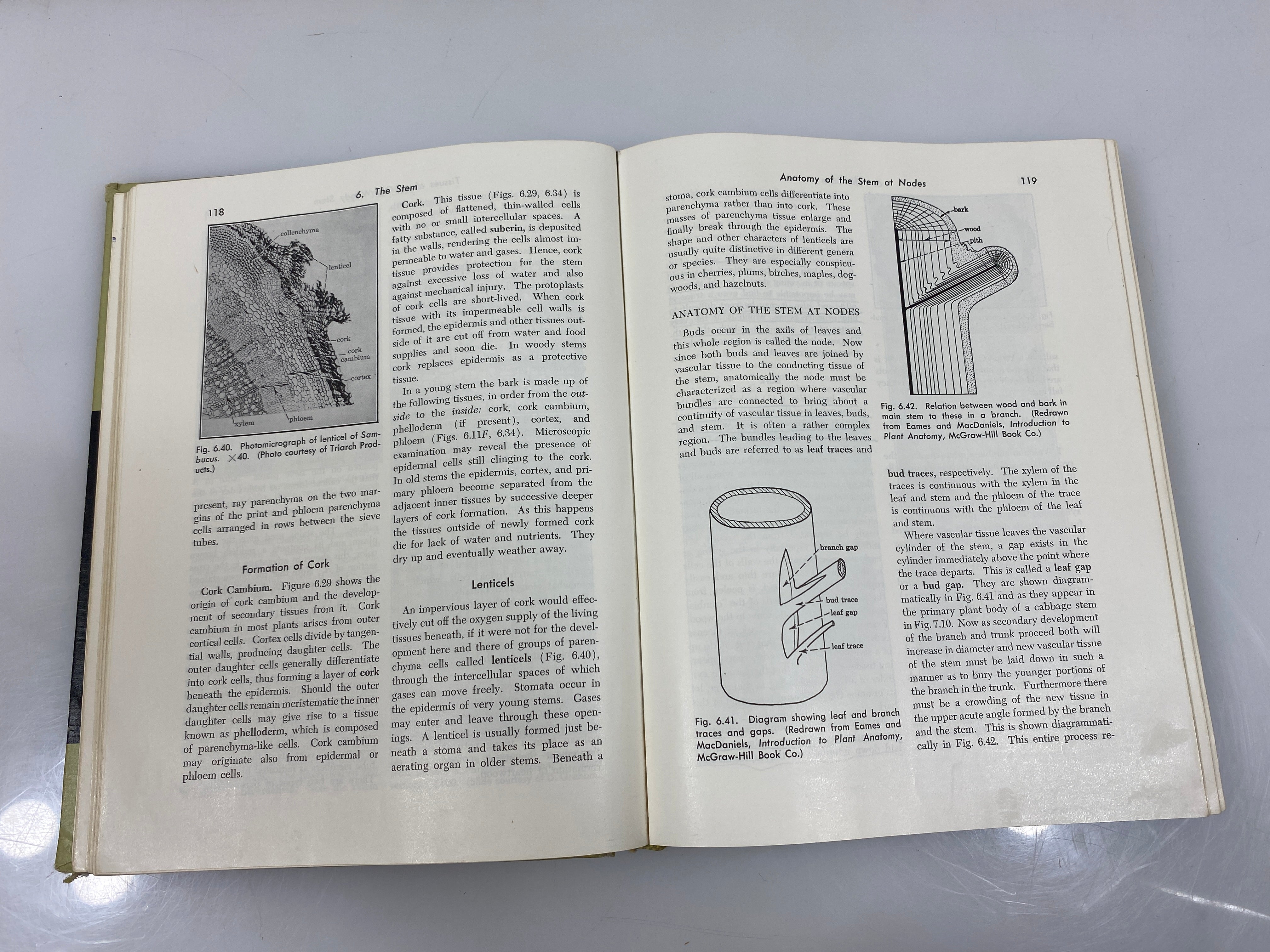 Botany Introduction to Plant Science 2nd Ed. Robbins/Weier/Stocking 1959 HC