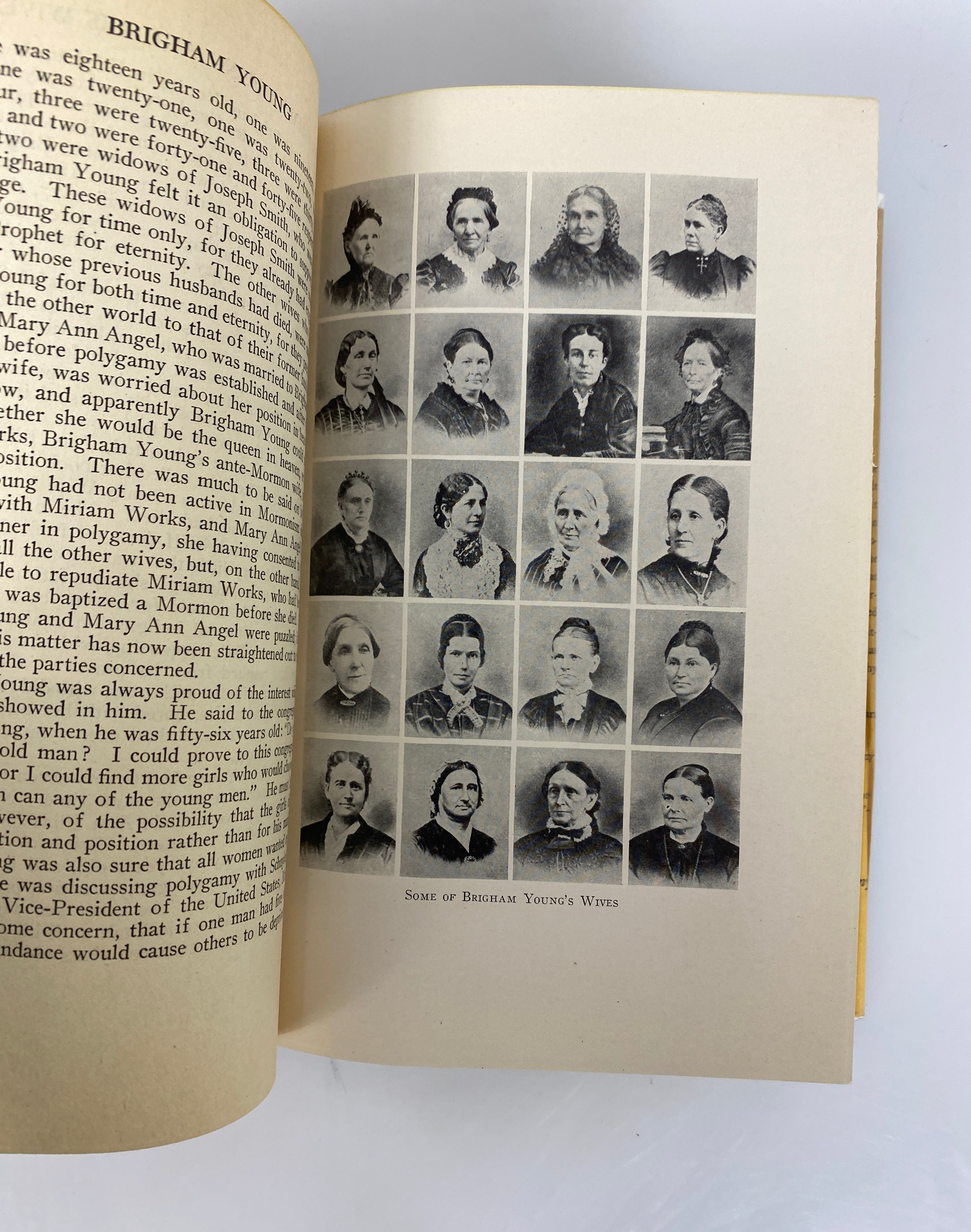 Brigham Young by M.R. Werner 1925 First Edition HC DJ
