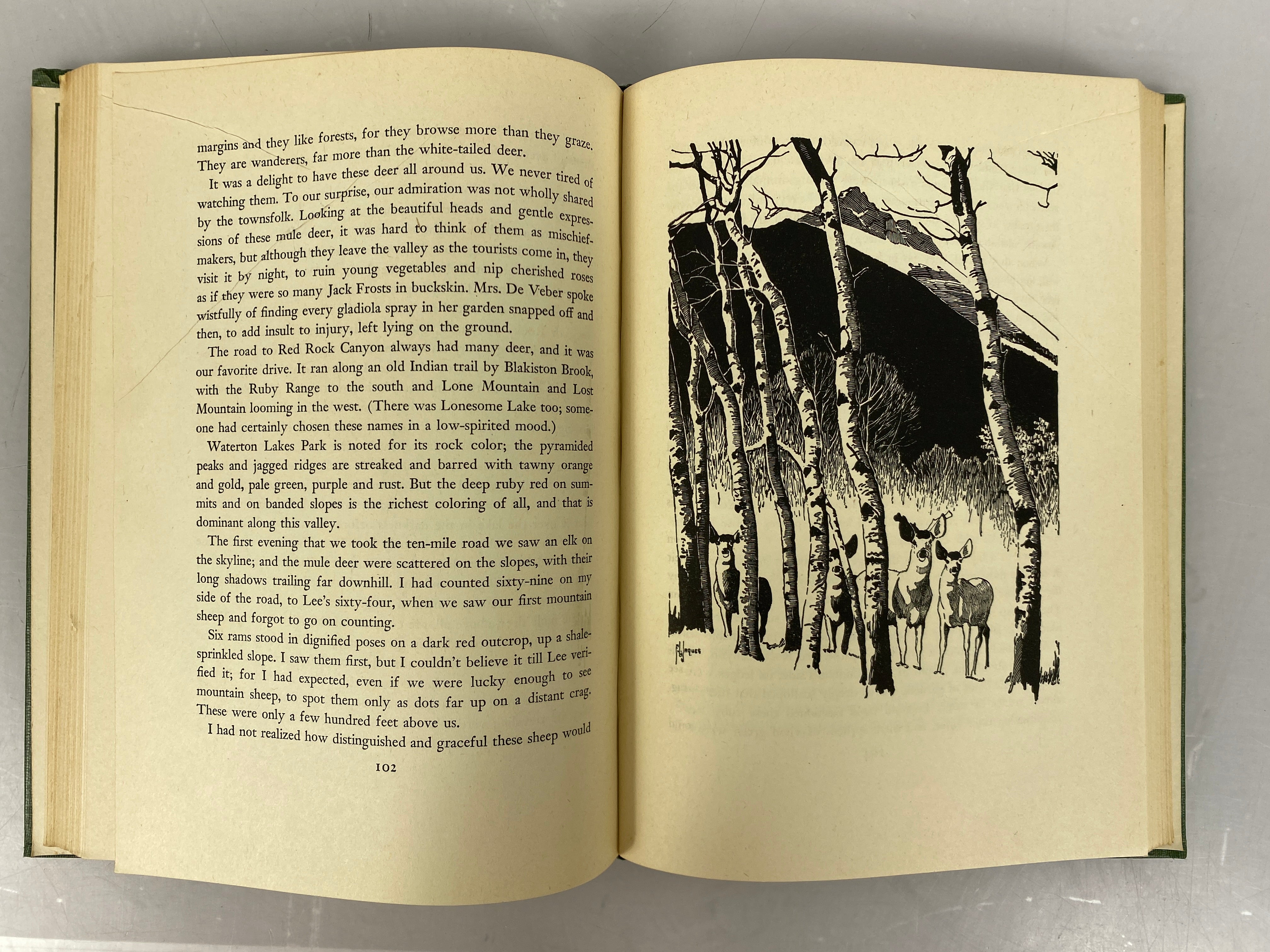 Canadian Spring by Florence Page Jaques 1947 HC First Edition
