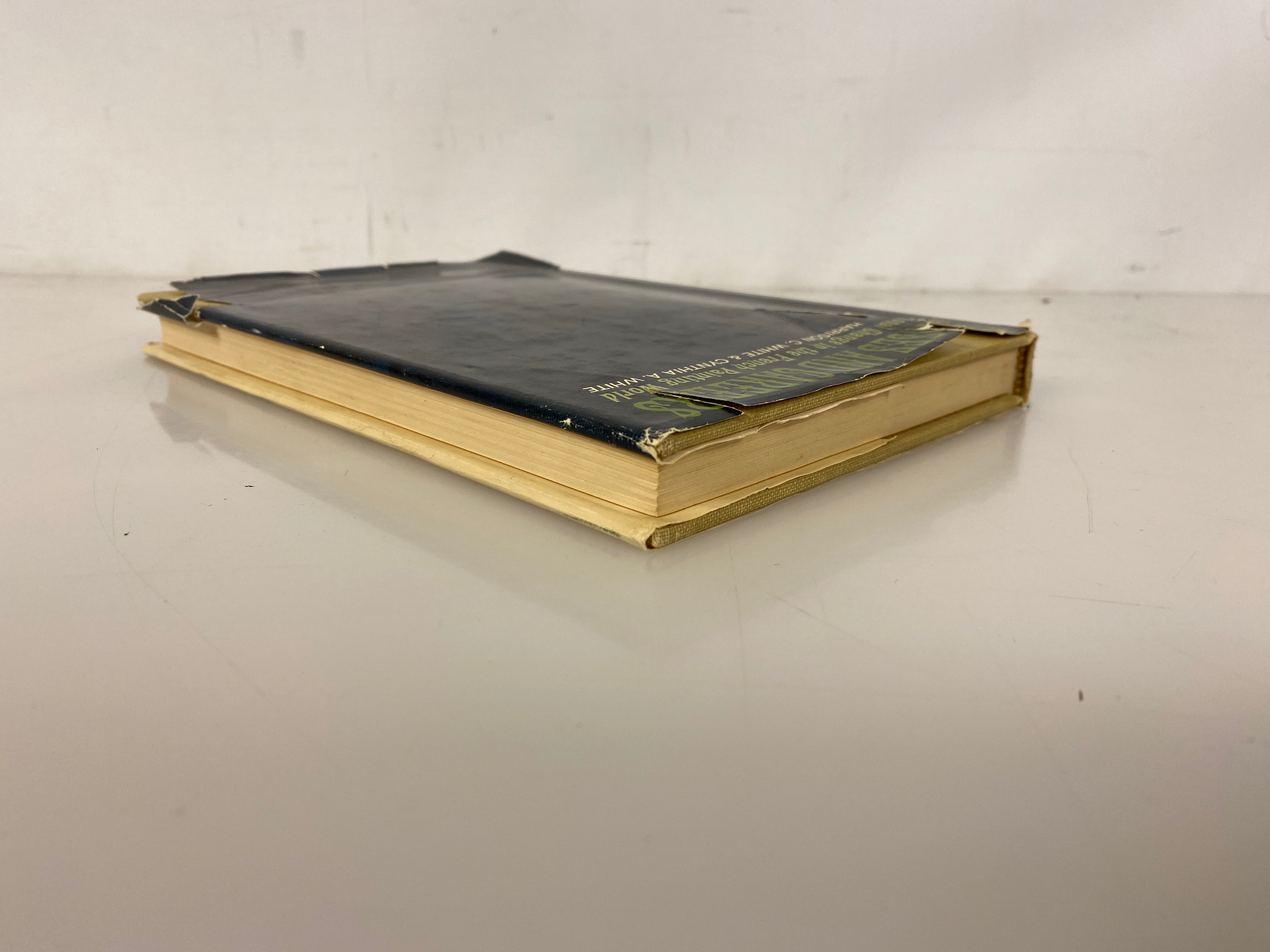 Canvases and Careers by White & White 1965 Vintage HC DJ