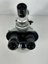 Carl Zeiss Trinocular Fluorescence Microscope
