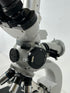 Carl Zeiss Trinocular Fluorescence Microscope