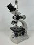 Carl Zeiss Trinocular Fluorescence Microscope