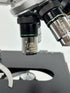 Carl Zeiss Trinocular Fluorescence Microscope