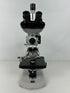 Carl Zeiss Trinocular Fluorescence Microscope