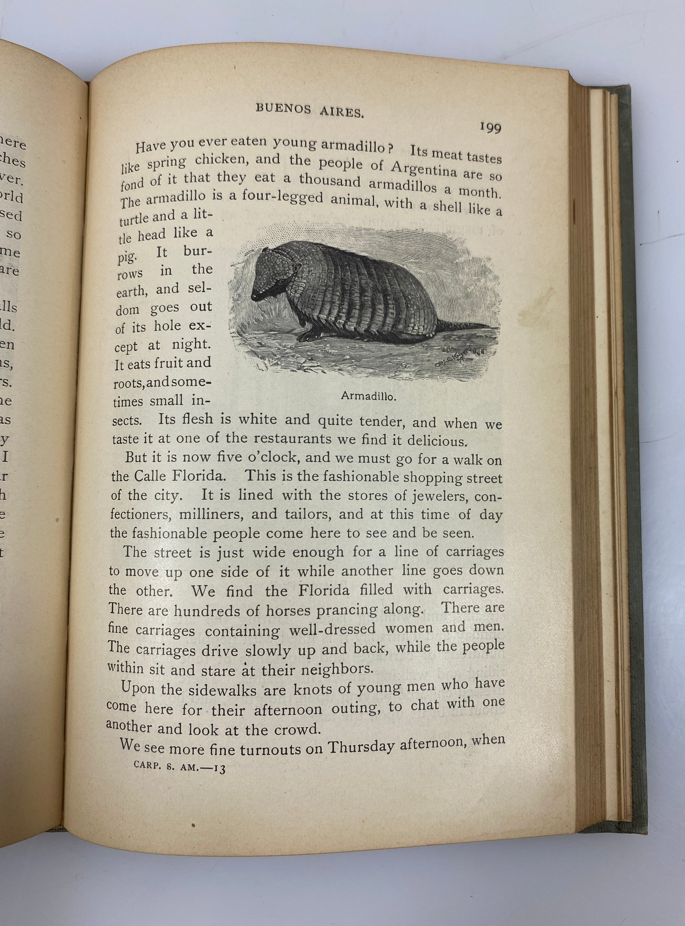 Carpenter's Geographical Reader: South America by Carpenter 1899 HC