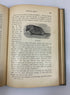 Carpenter's Geographical Reader: South America by Carpenter 1899 HC
